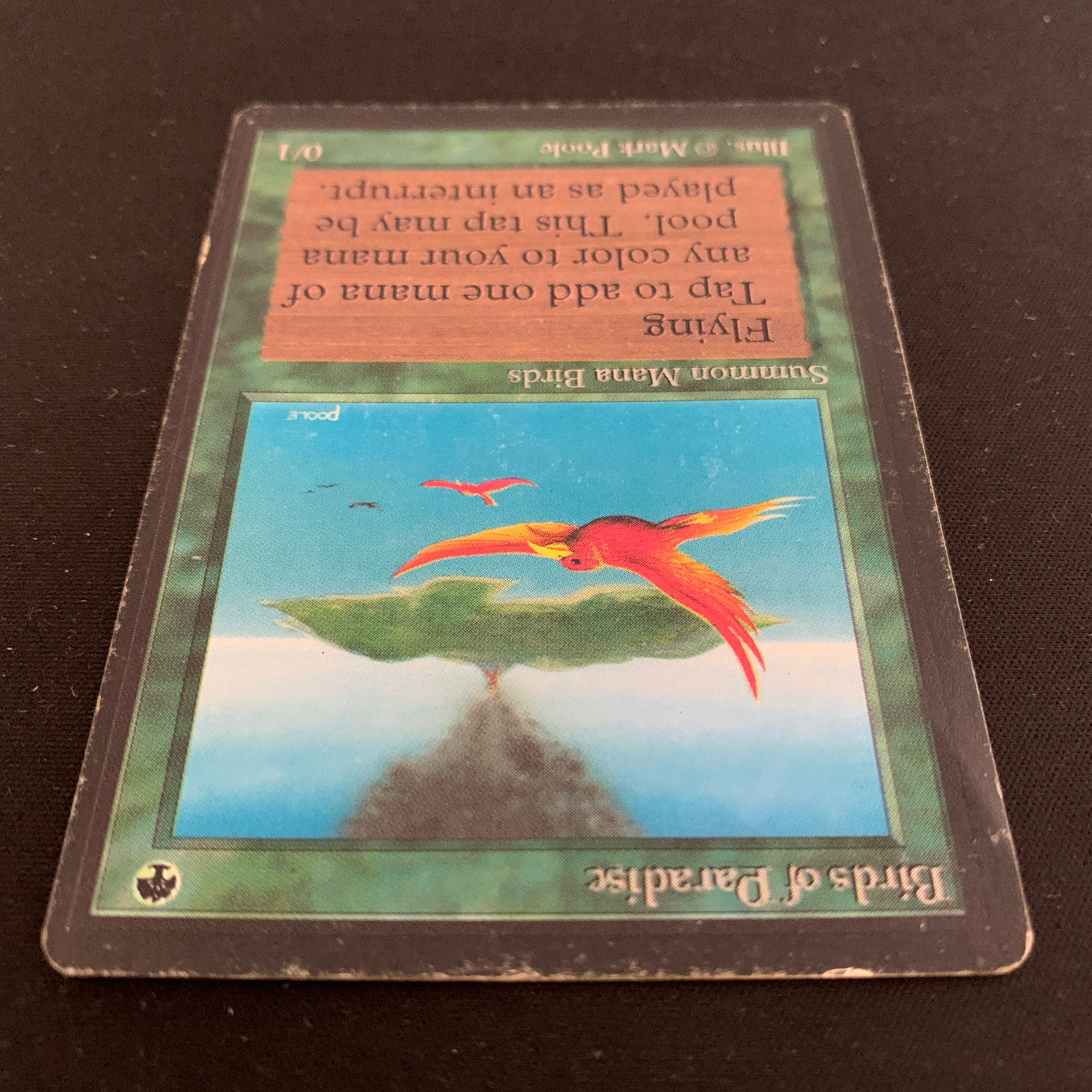 MTG Singles - Birds of Paradise - Beta -