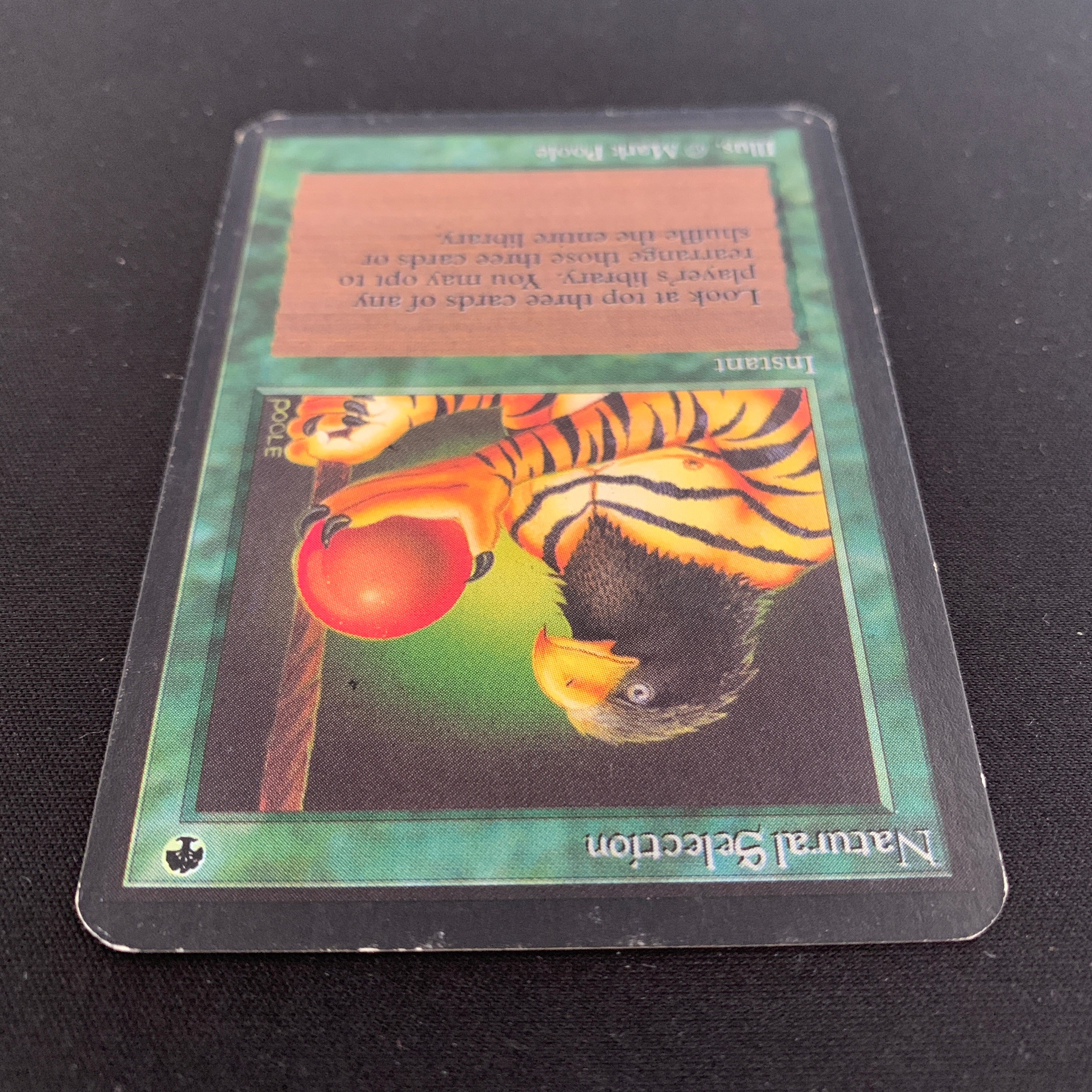 MTG Singles - Natural Selection - Alpha -