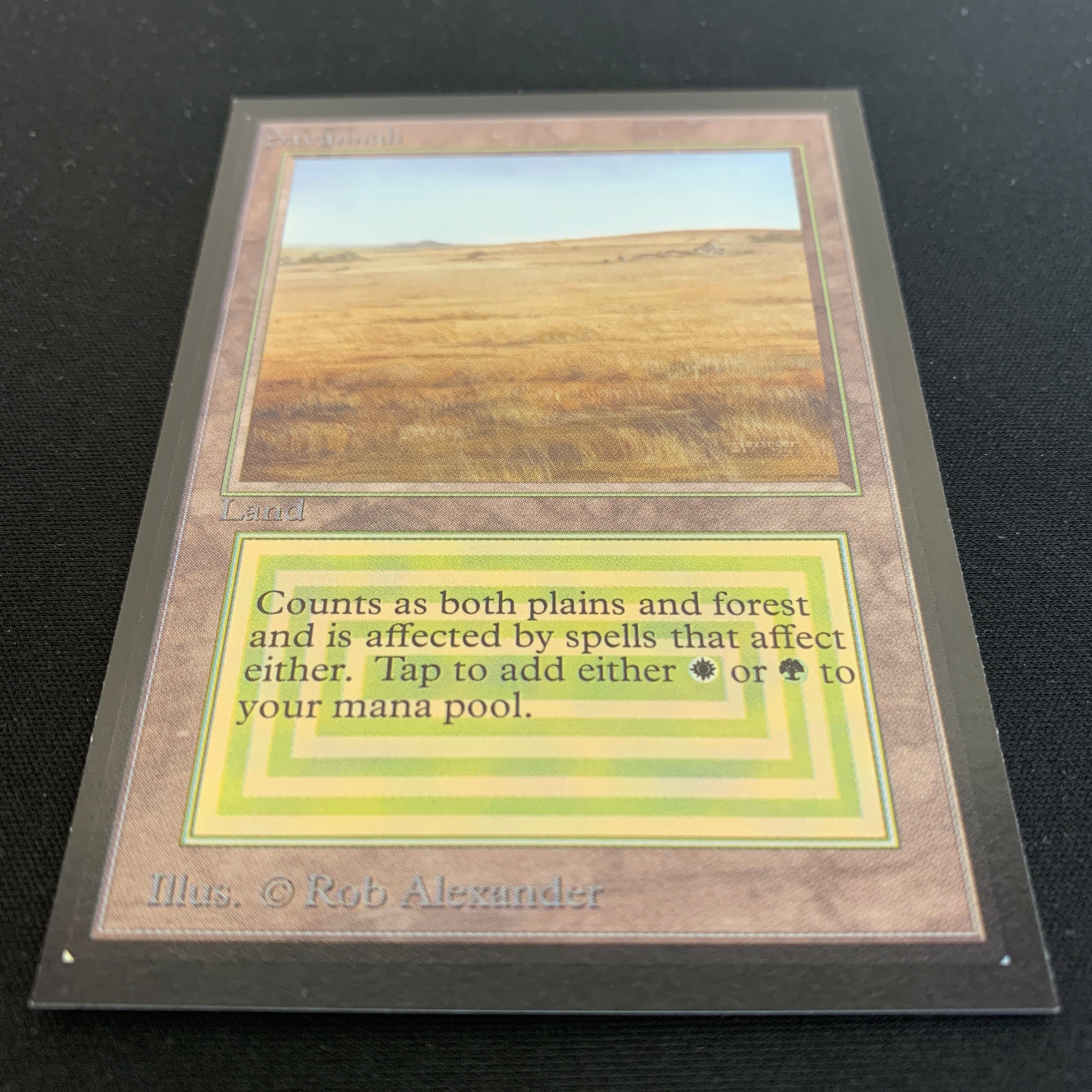 MTG Singles - Savannah - International Edition -