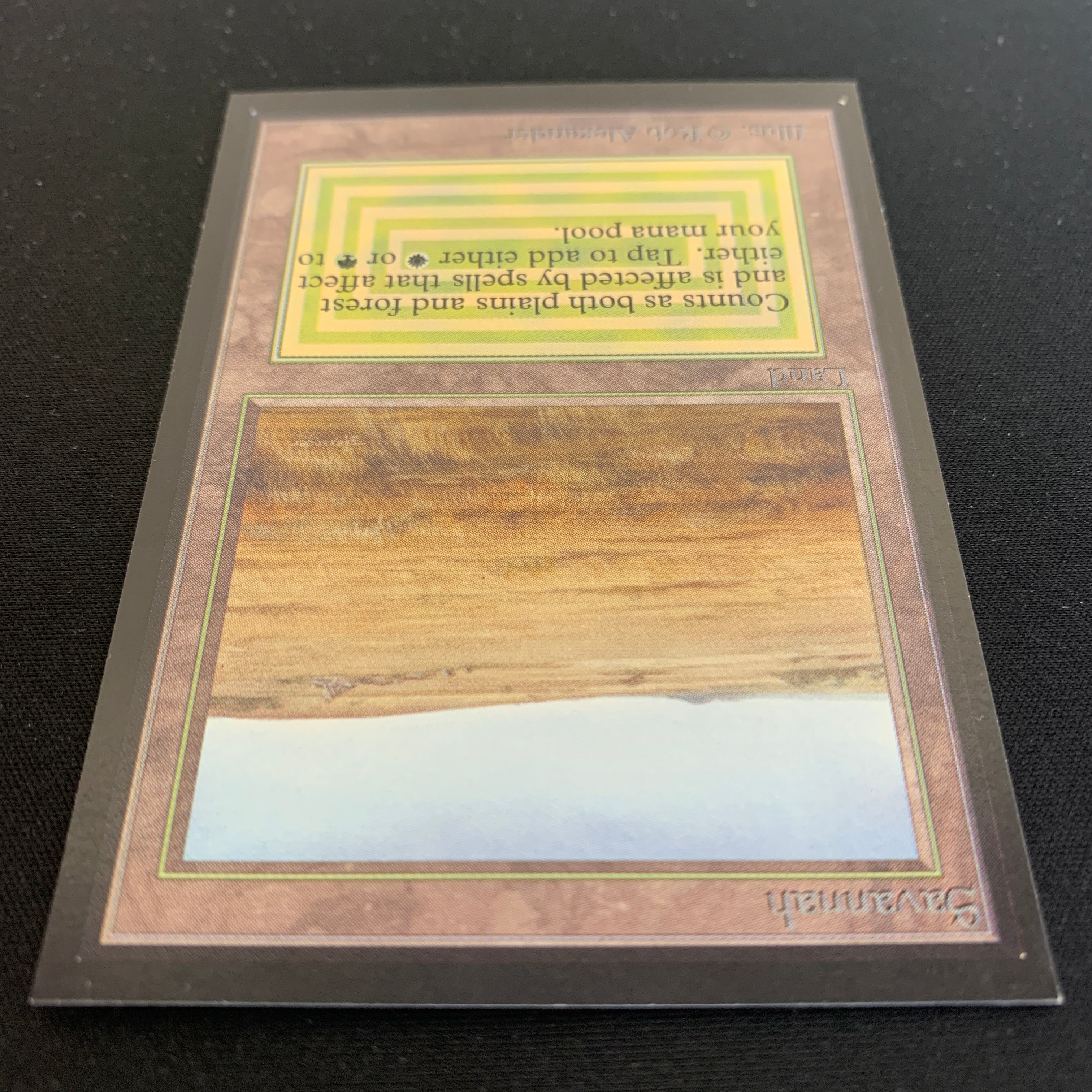 MTG Singles - Savannah - International Edition -