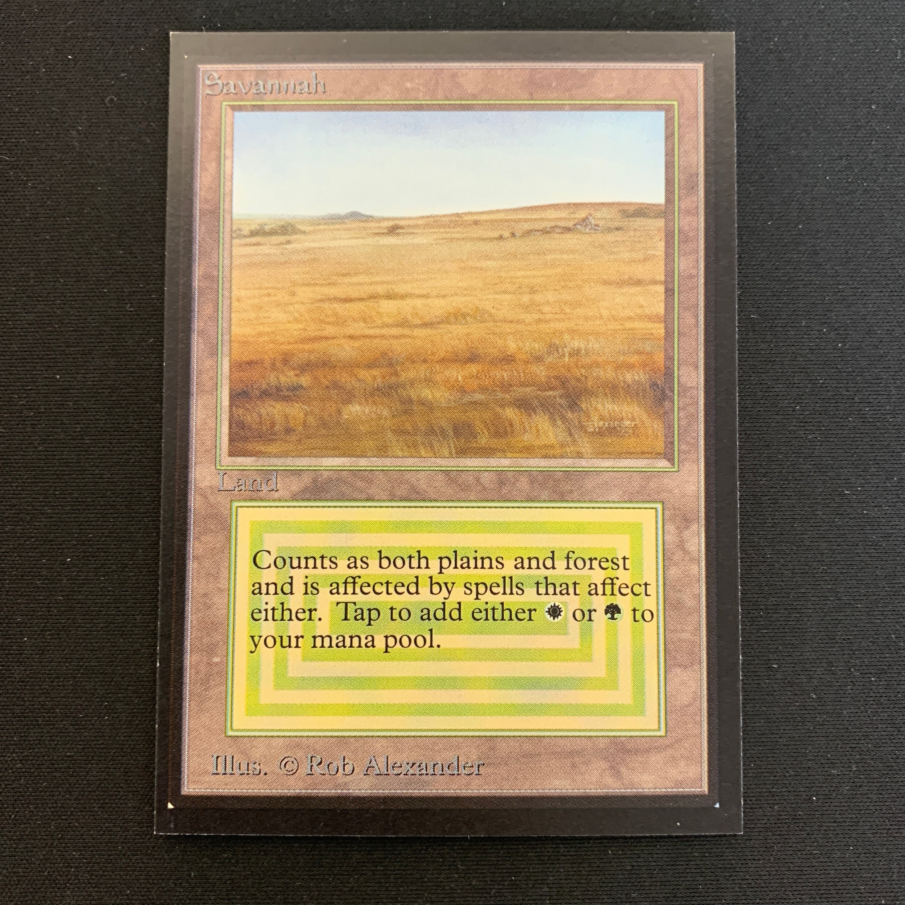 MTG Singles - Savannah - International Edition -