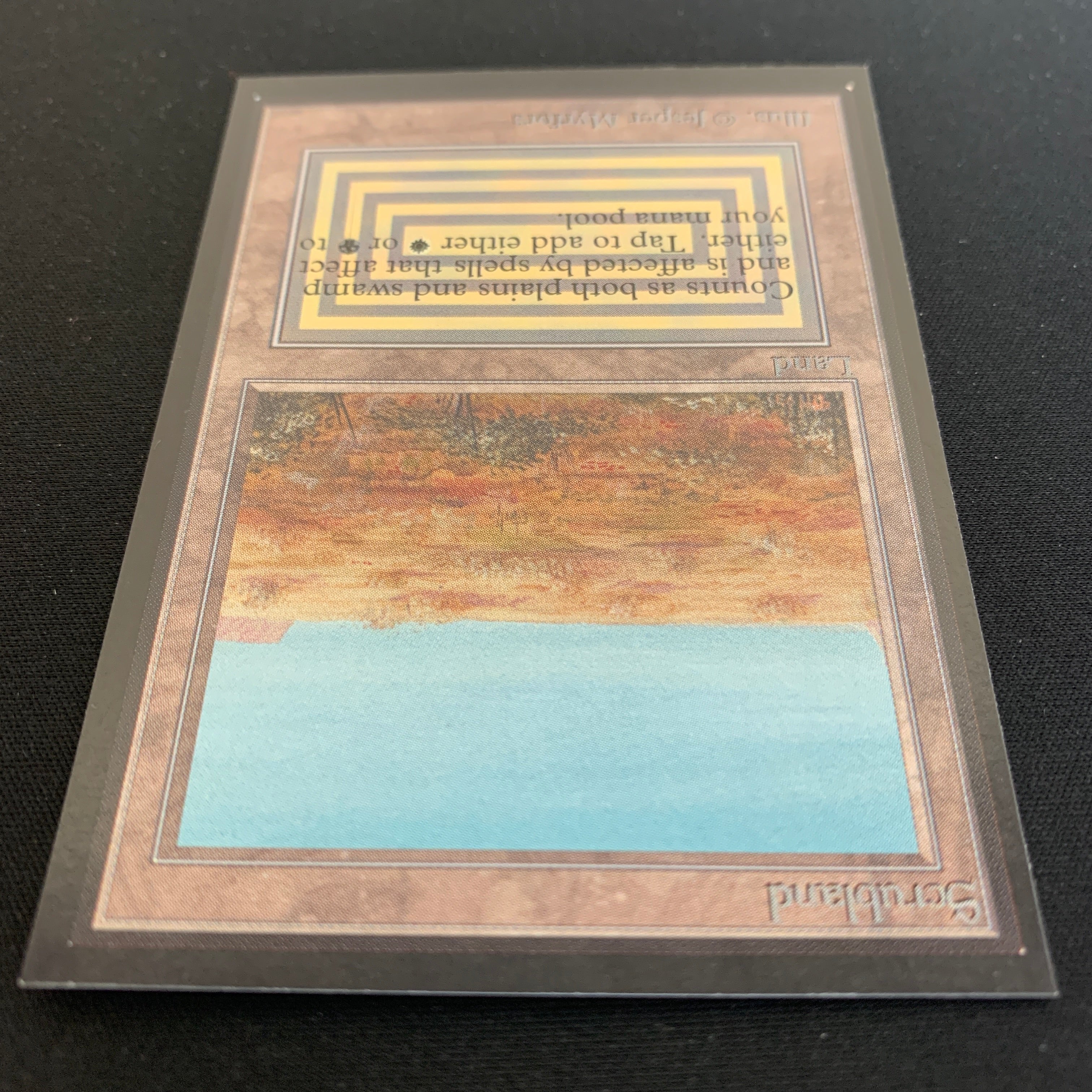 MTG Singles - Scrubland - International Edition -