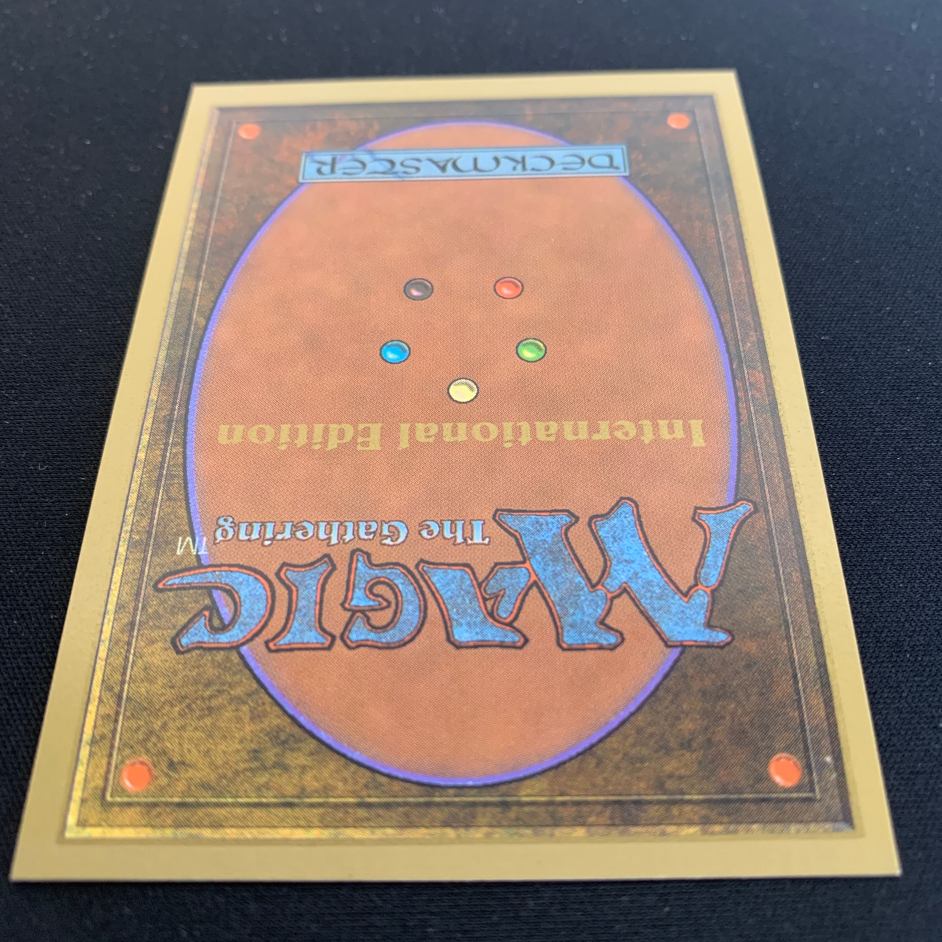 MTG Singles - Taiga - International Edition -