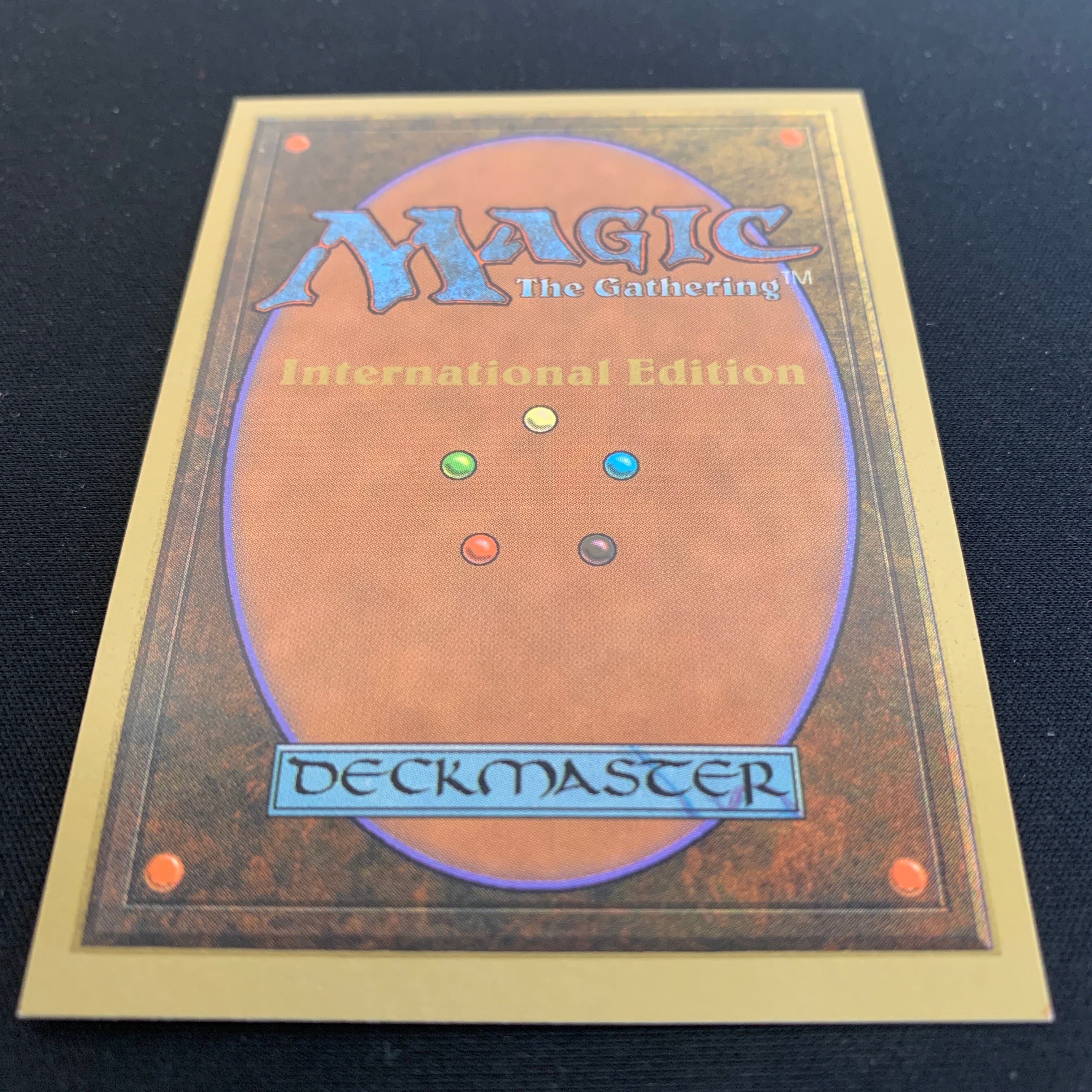 MTG Singles - Taiga - International Edition -