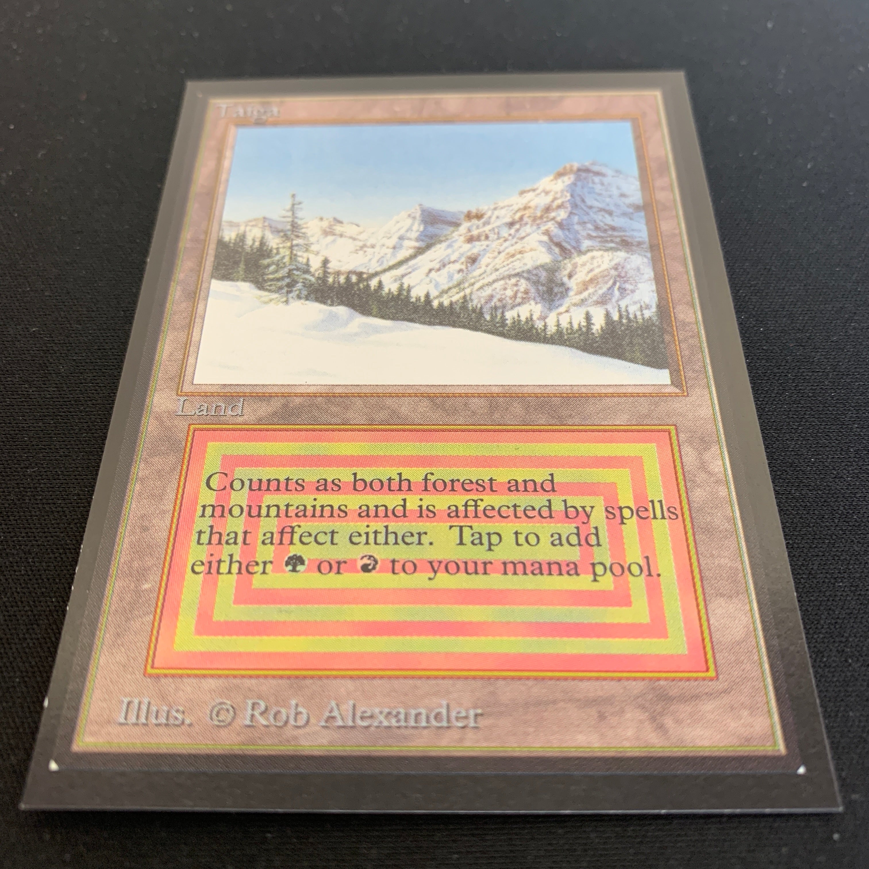 MTG Singles - Taiga - International Edition -