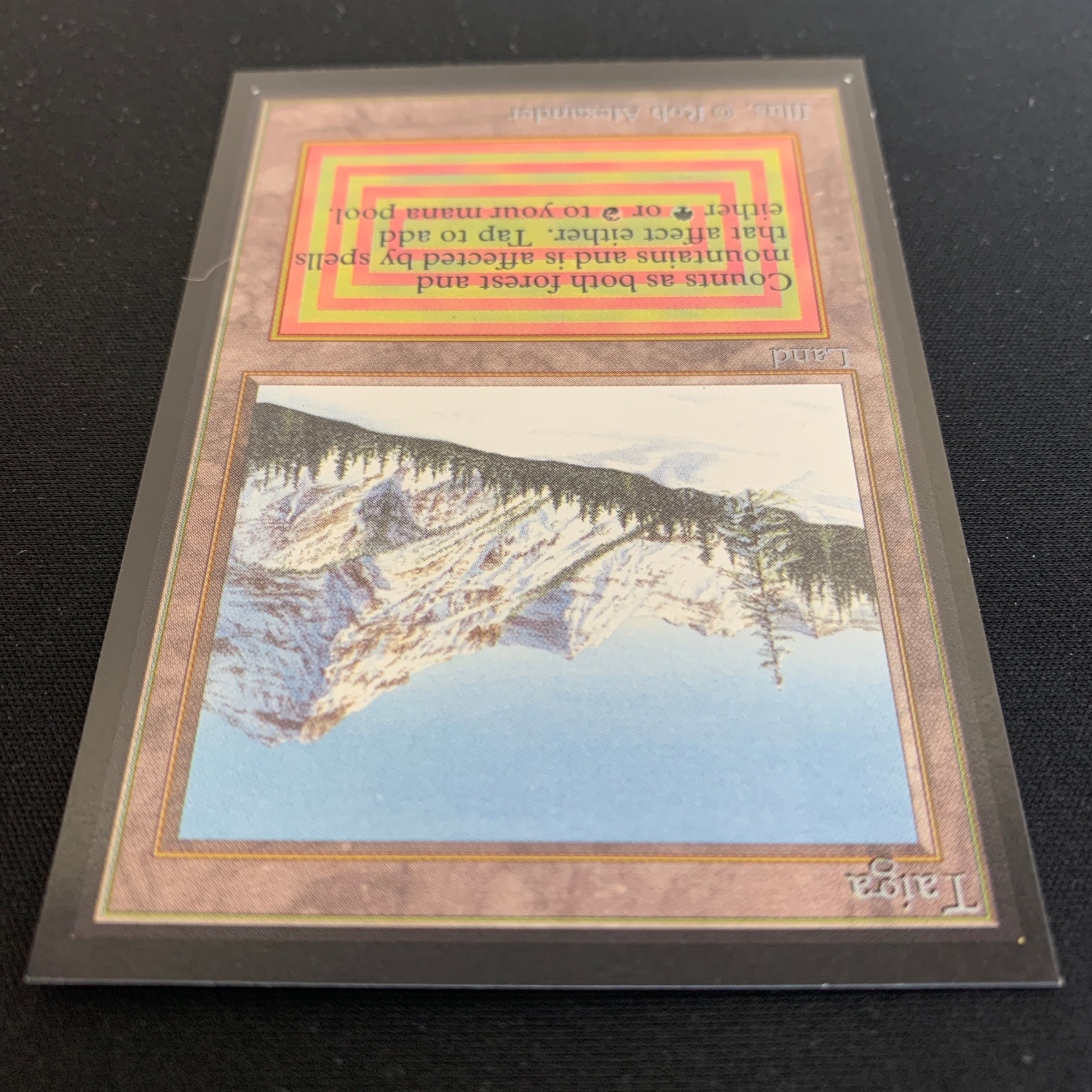 MTG Singles - Taiga - International Edition -