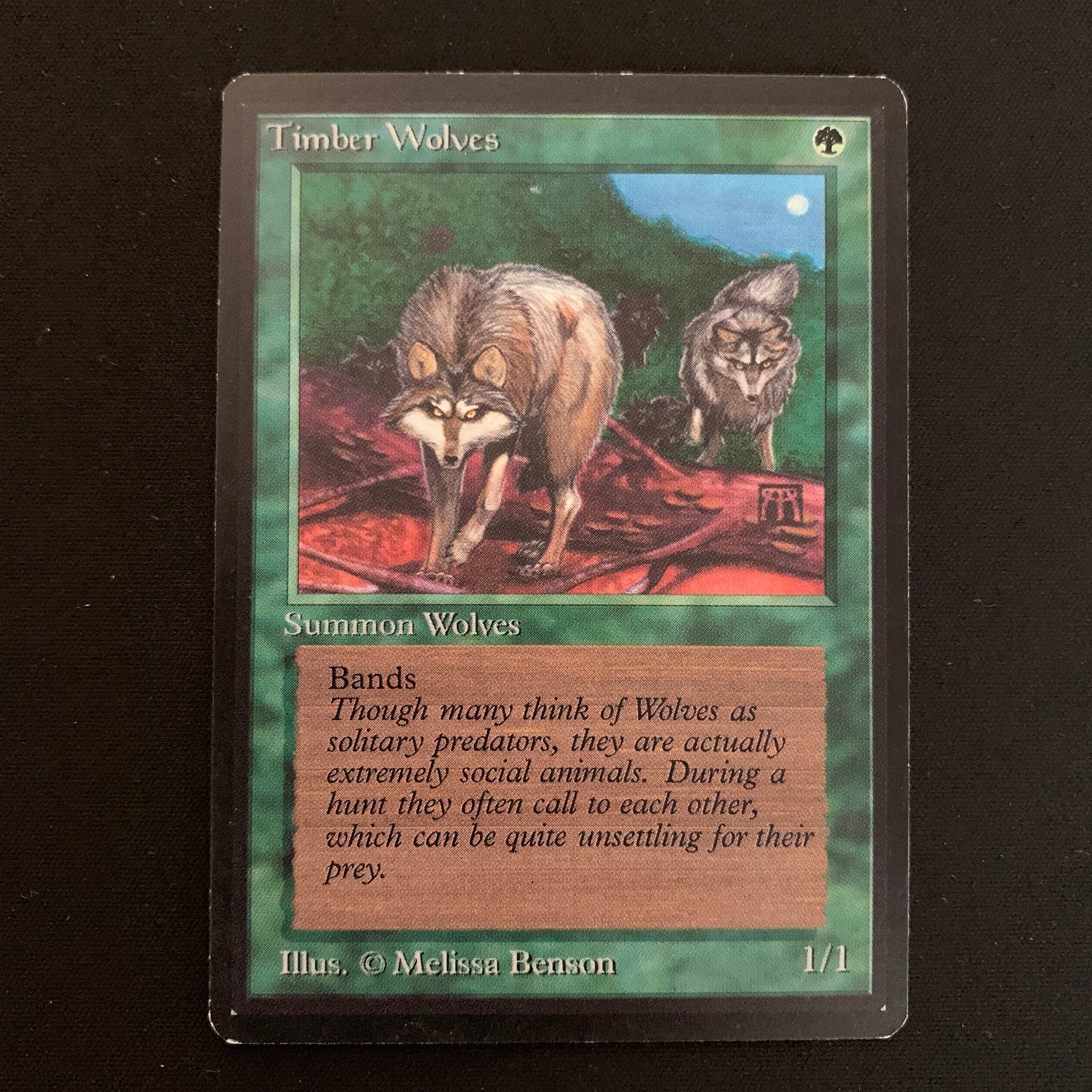 MTG Singles - Timber Wolves - Beta -