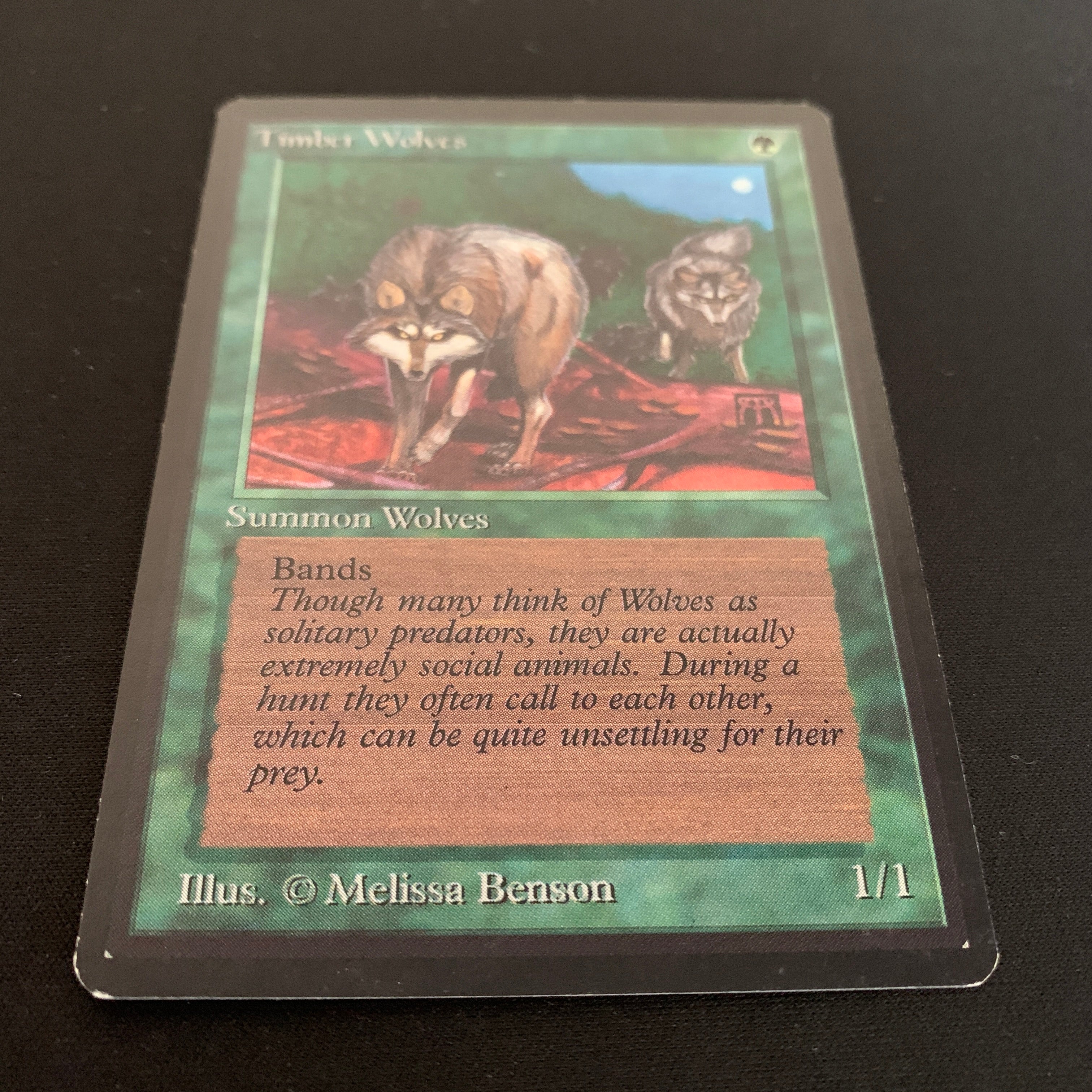 MTG Singles - Timber Wolves - Beta -