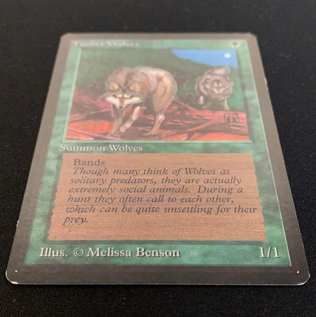 MTG Singles - Timber Wolves - Beta -