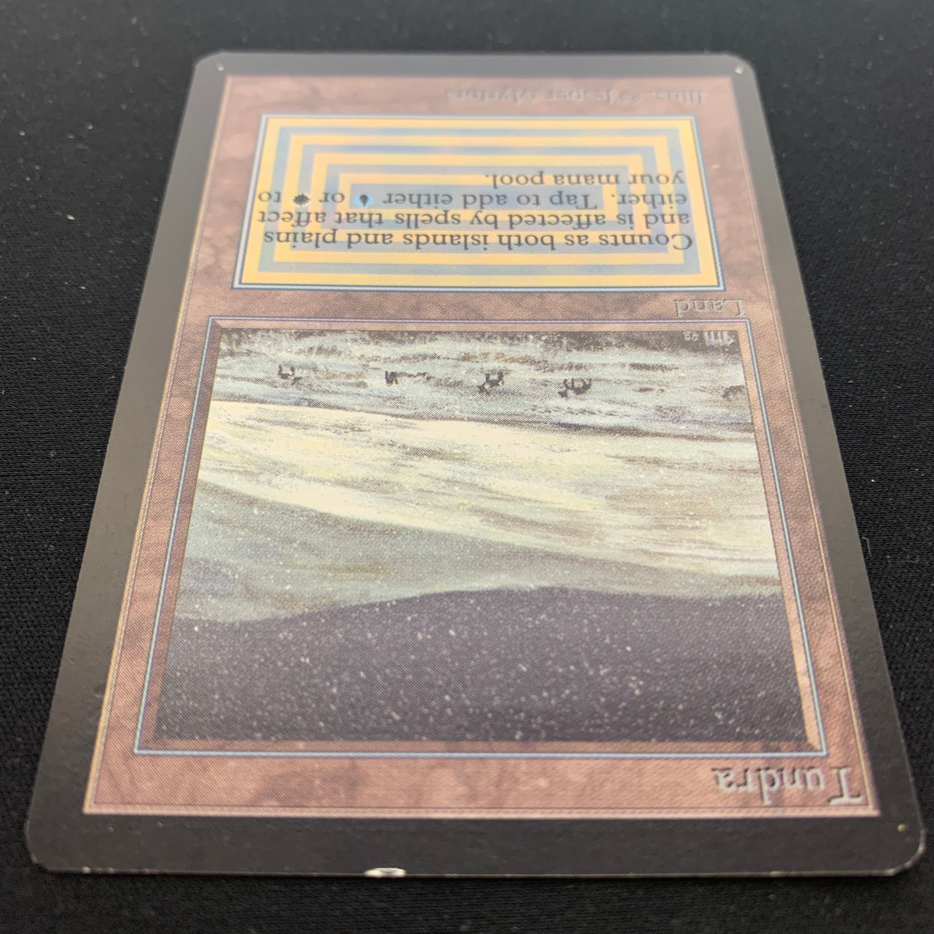 MTG Singles - Tundra - Collectors' Edition -