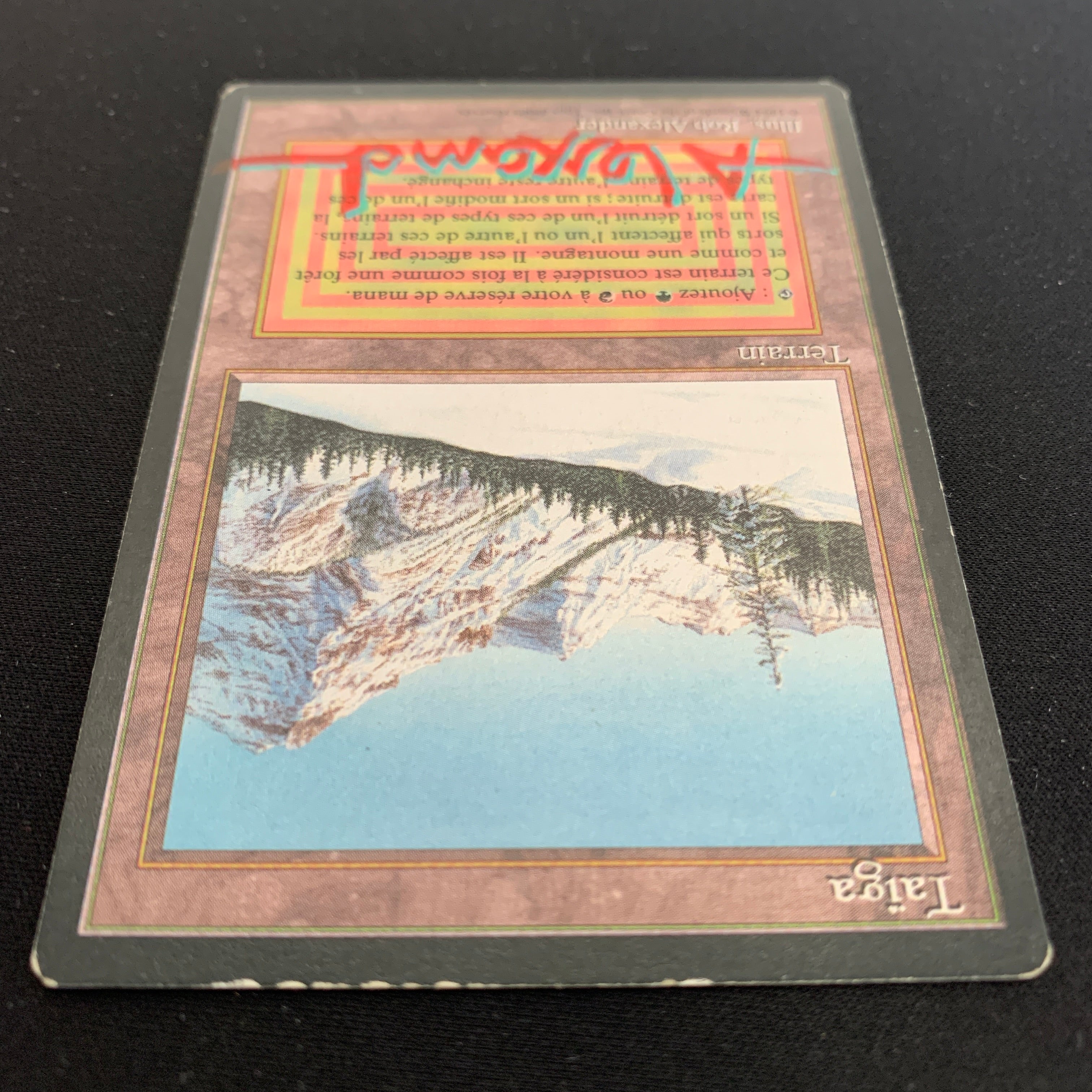 Taiga - Foreign Black Bordered