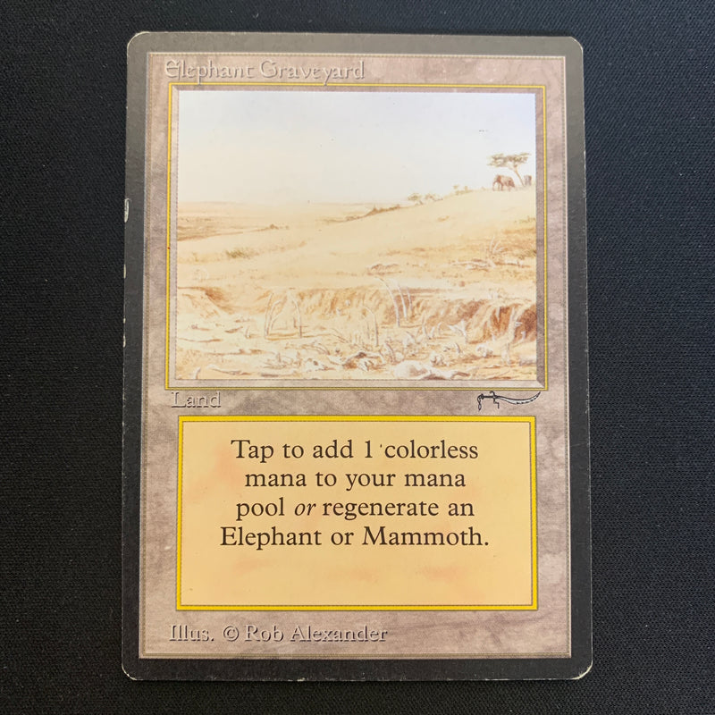 Elephant Graveyard - Arabian Nights