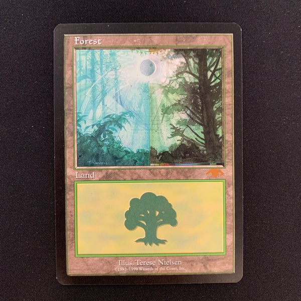 Forest - Guru Lands - NM