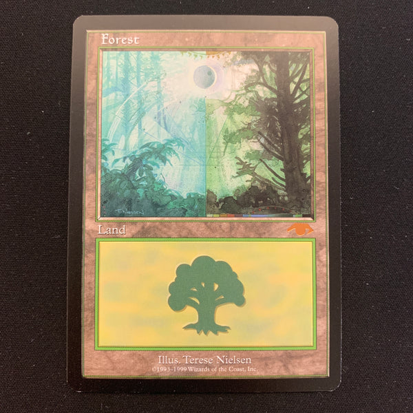Forest - Guru Lands - EX