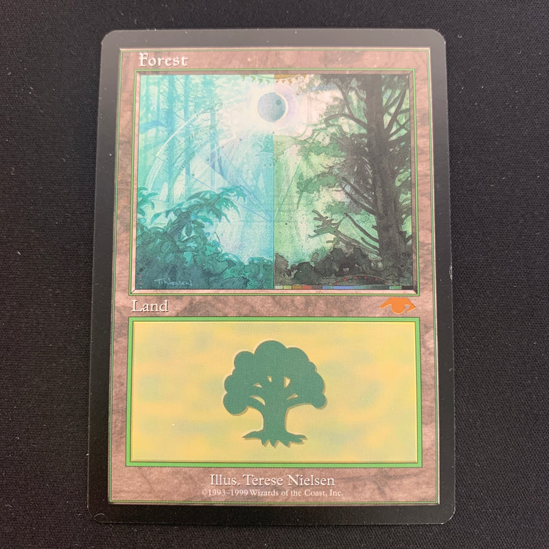 Forest - Guru Lands - EX