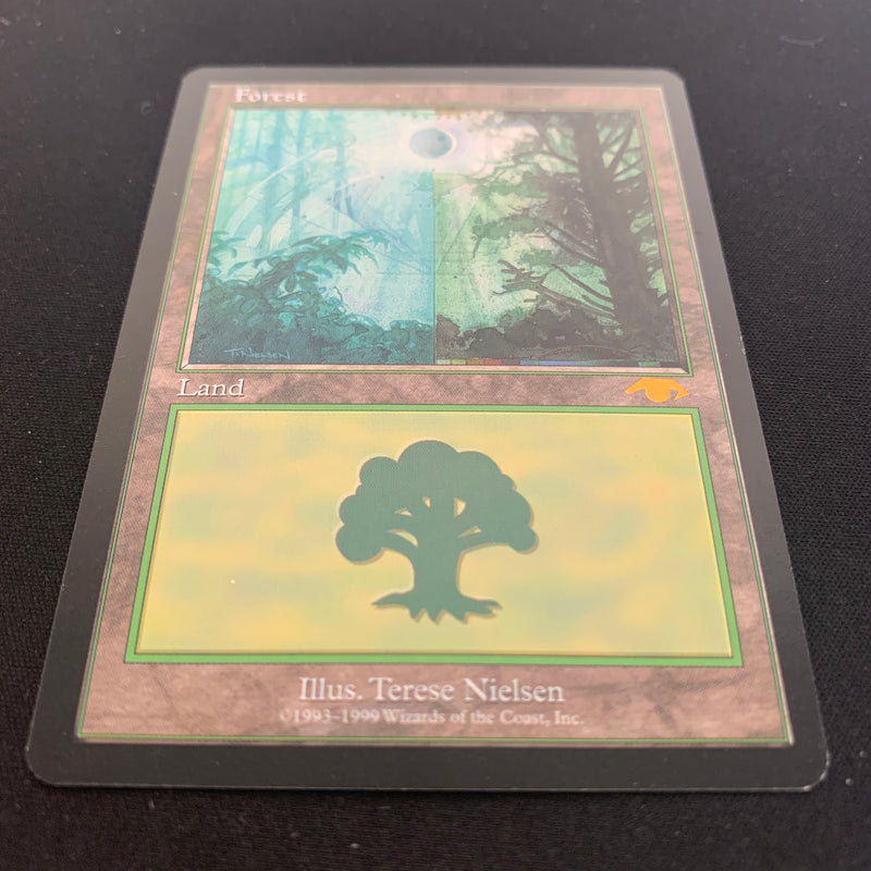 Forest - Guru Lands - EX