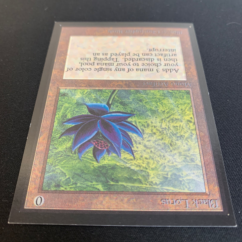 Black Lotus - International Edition