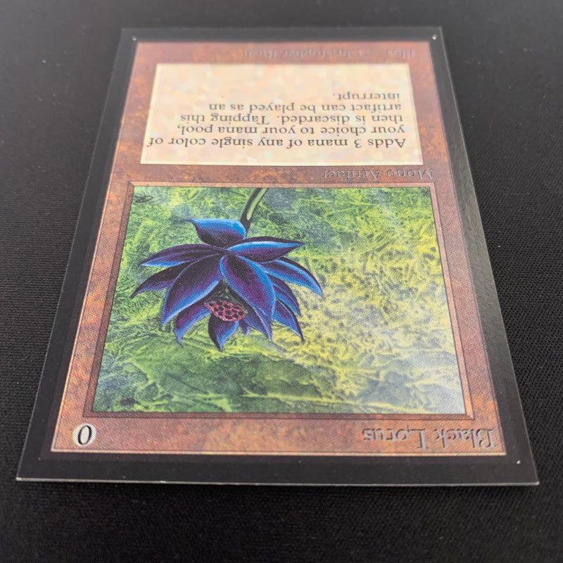 Black Lotus - International Edition