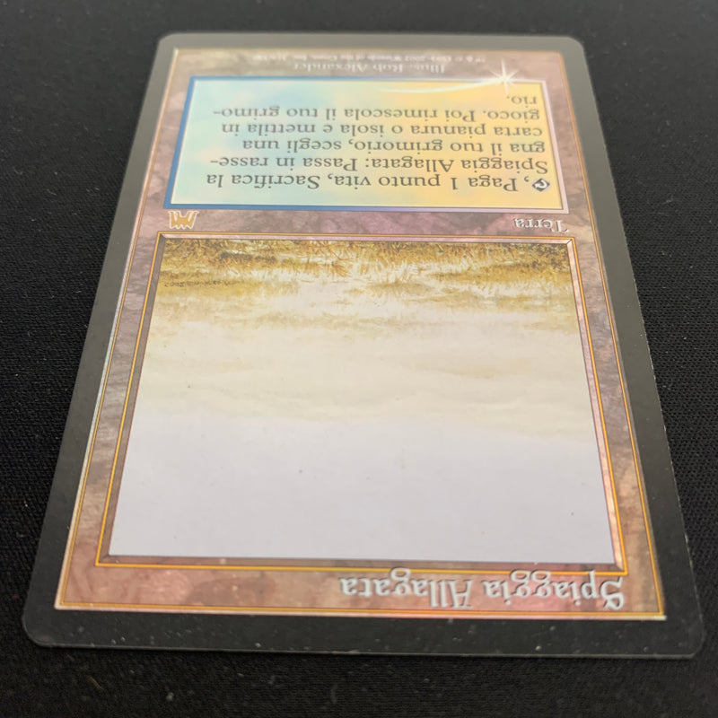 [FOIL] Flooded Strand - Onslaught - GD