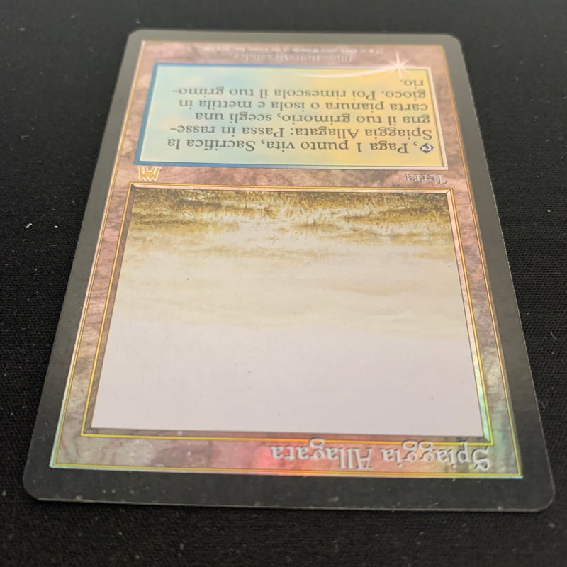 [FOIL] Flooded Strand - Onslaught - GD