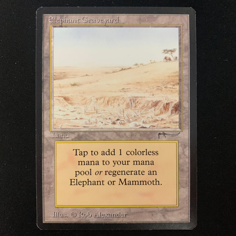 Elephant Graveyard - Arabian Nights