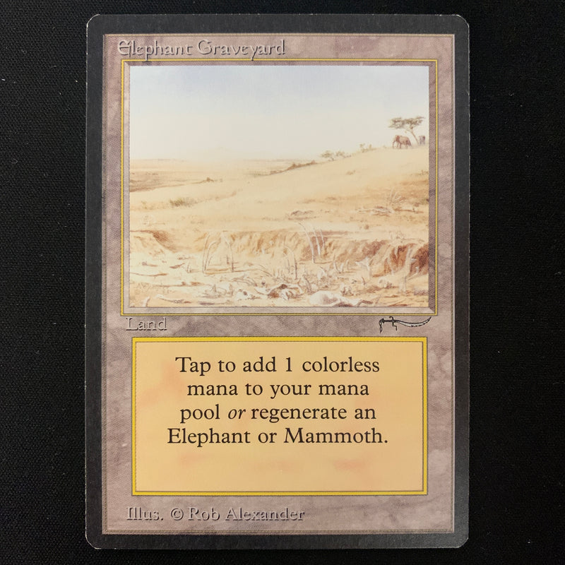 Elephant Graveyard - Arabian Nights