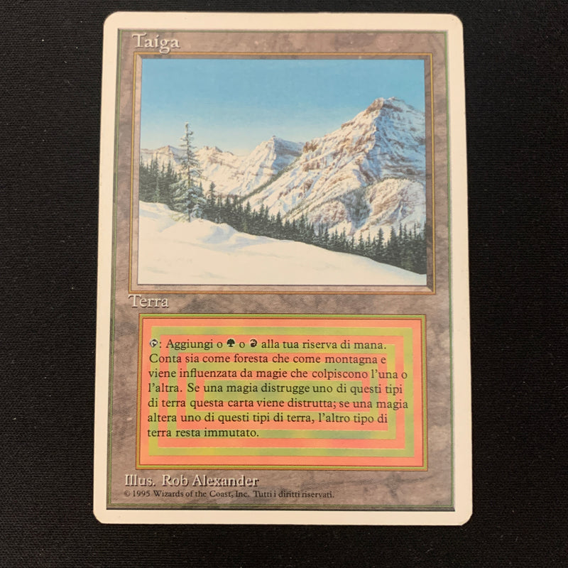 Taiga - Foreign White Bordered - Italian