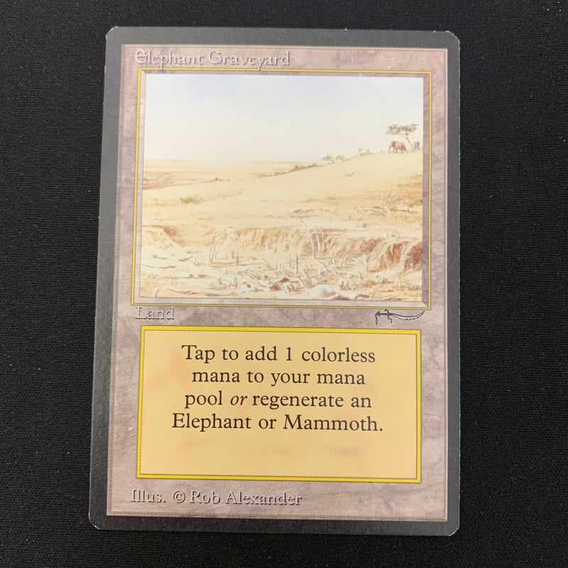 Elephant Graveyard - Arabian Nights