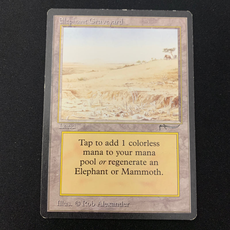 Elephant Graveyard - Arabian Nights