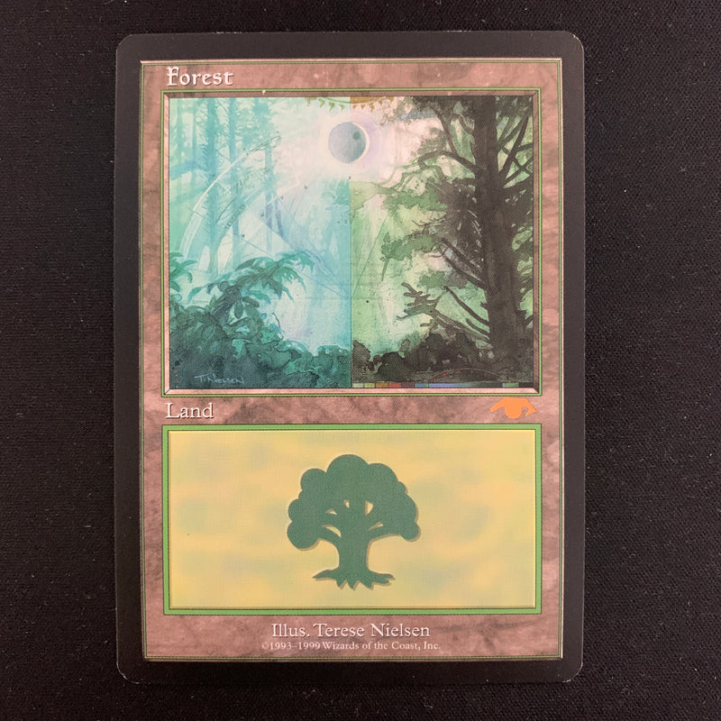 Forest - Guru Lands - EX