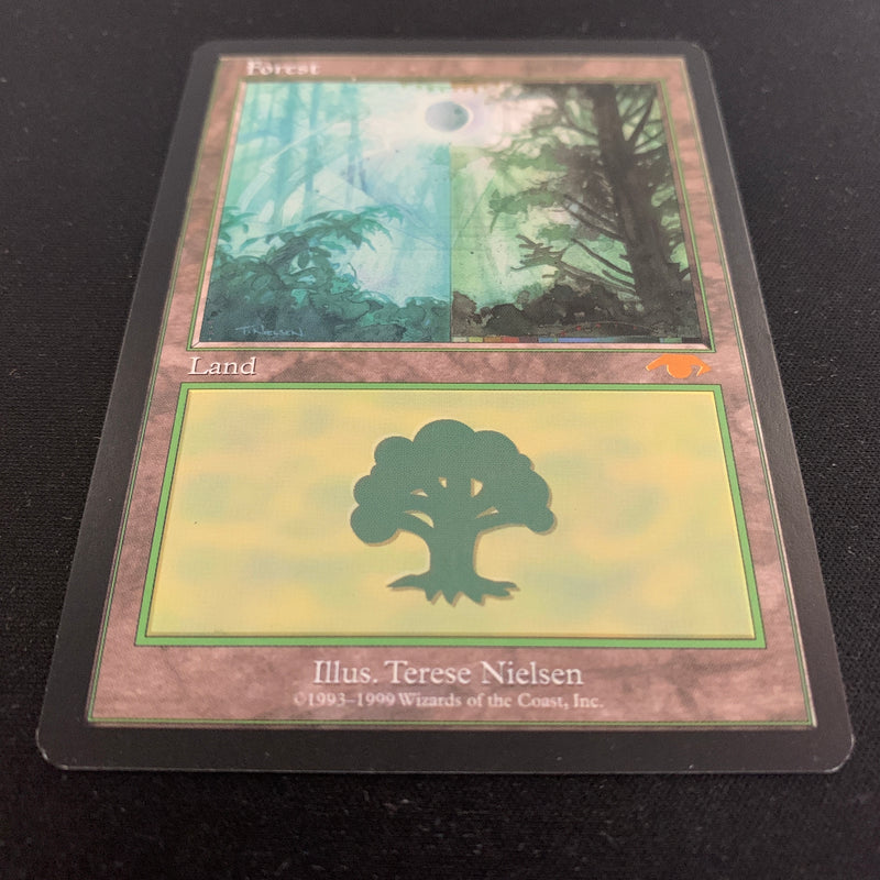 Forest - Guru Lands - EX