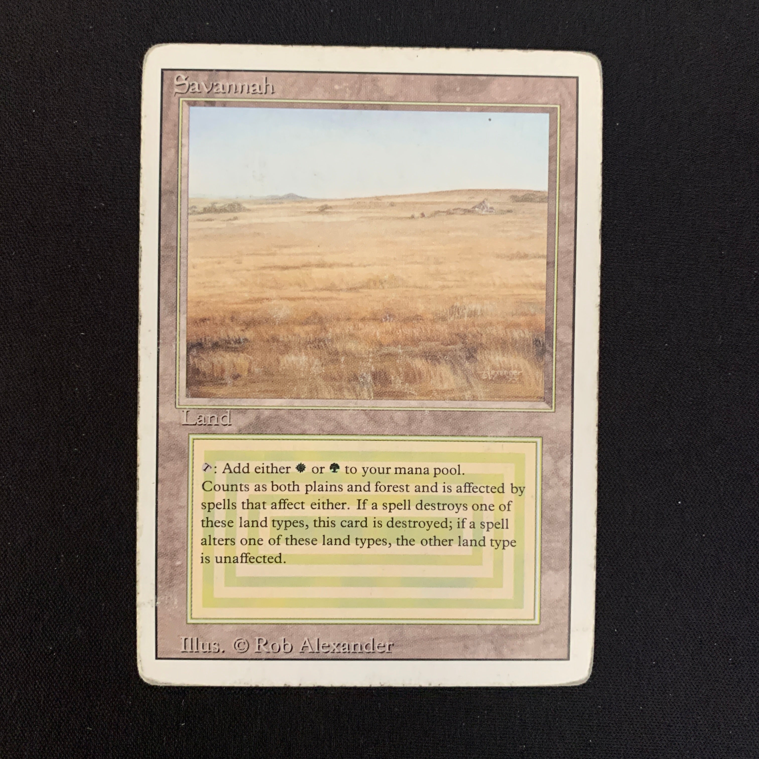 MTG Singles - Savannah - Revised - PL - 21583