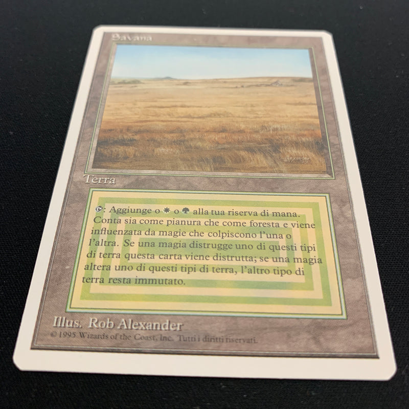 MTG Singles - Savannah - Foreign White Bordered - 