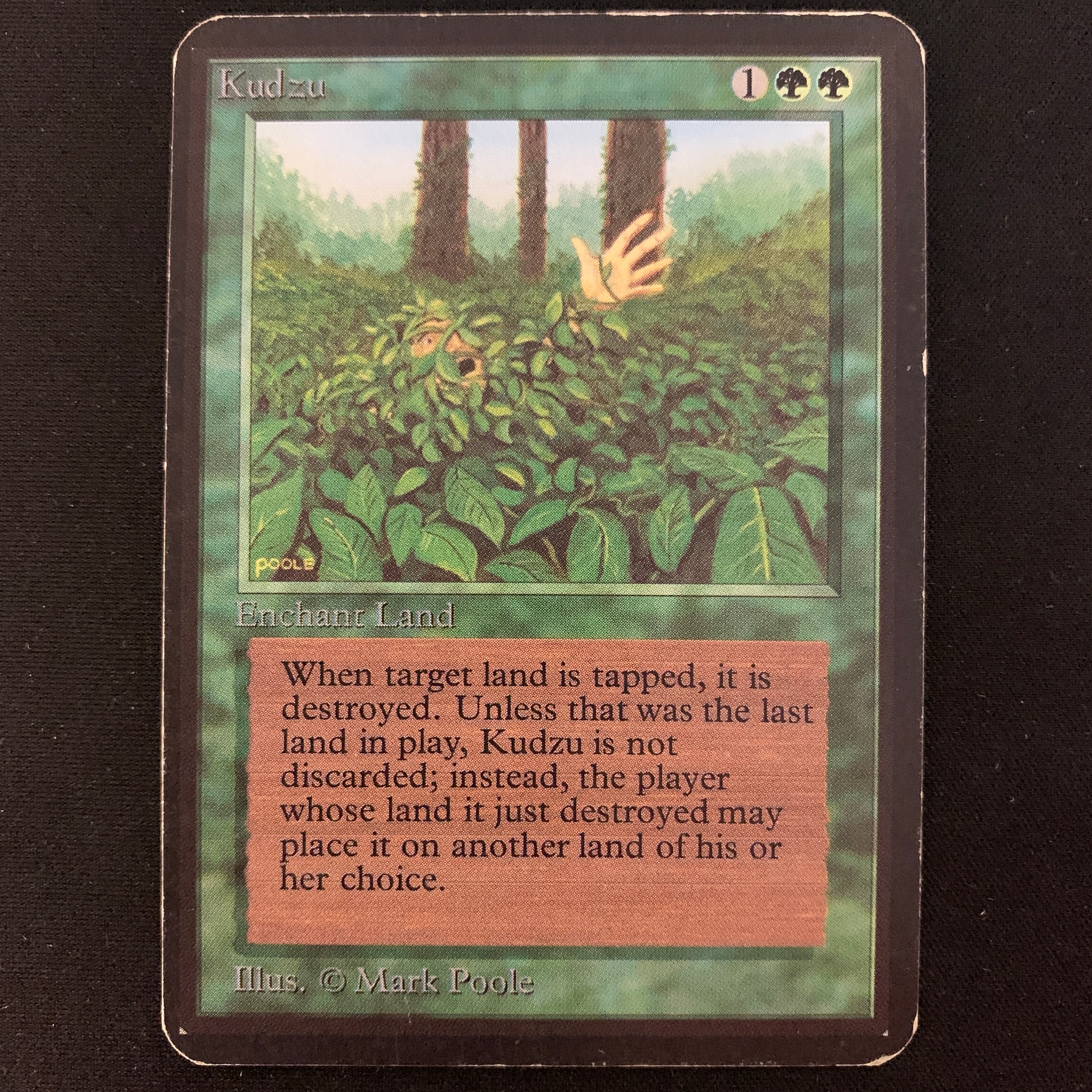 MTG Singles - Kudzu - Alpha - LP - 23789