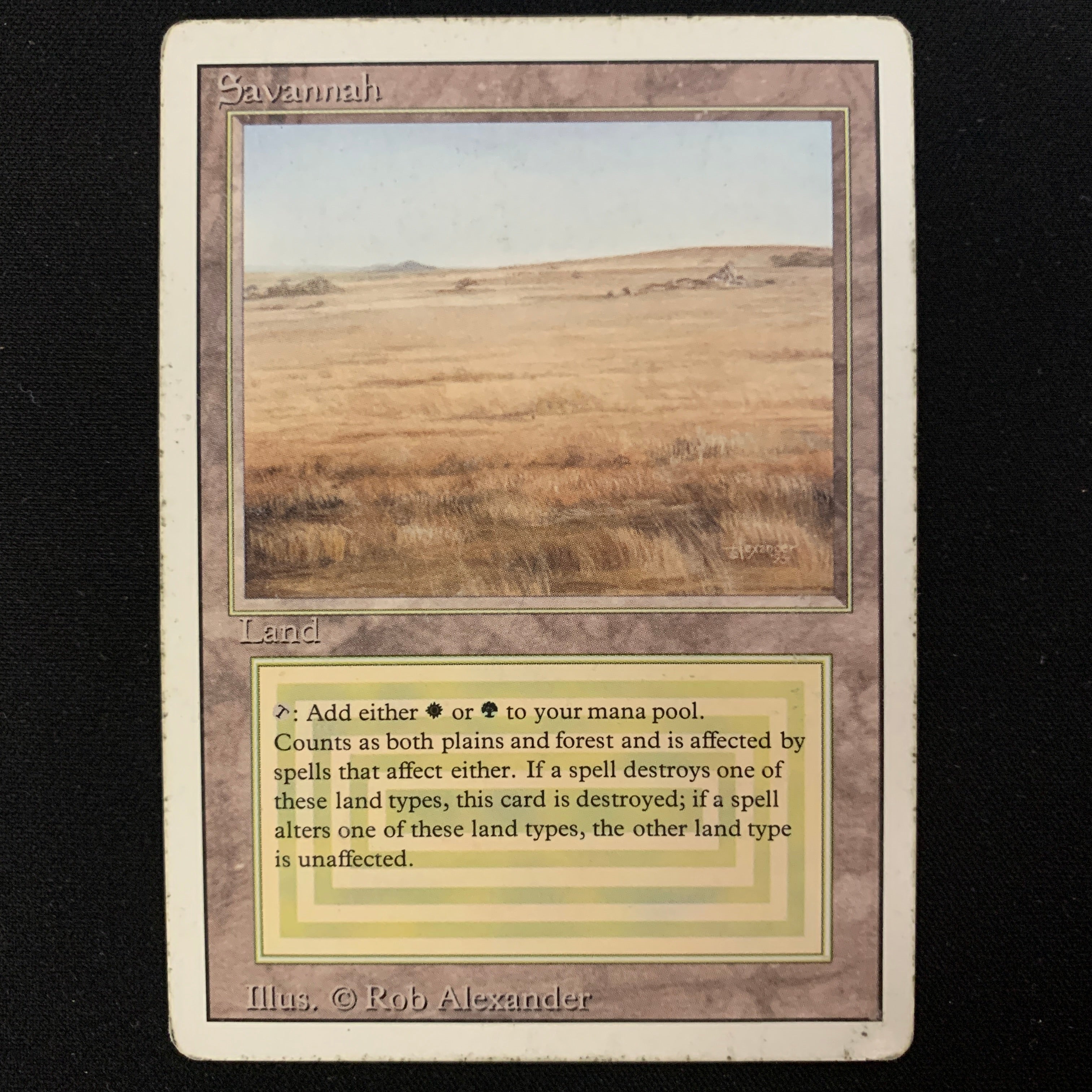 MTG Singles - Savannah - Revised - PL - 24390