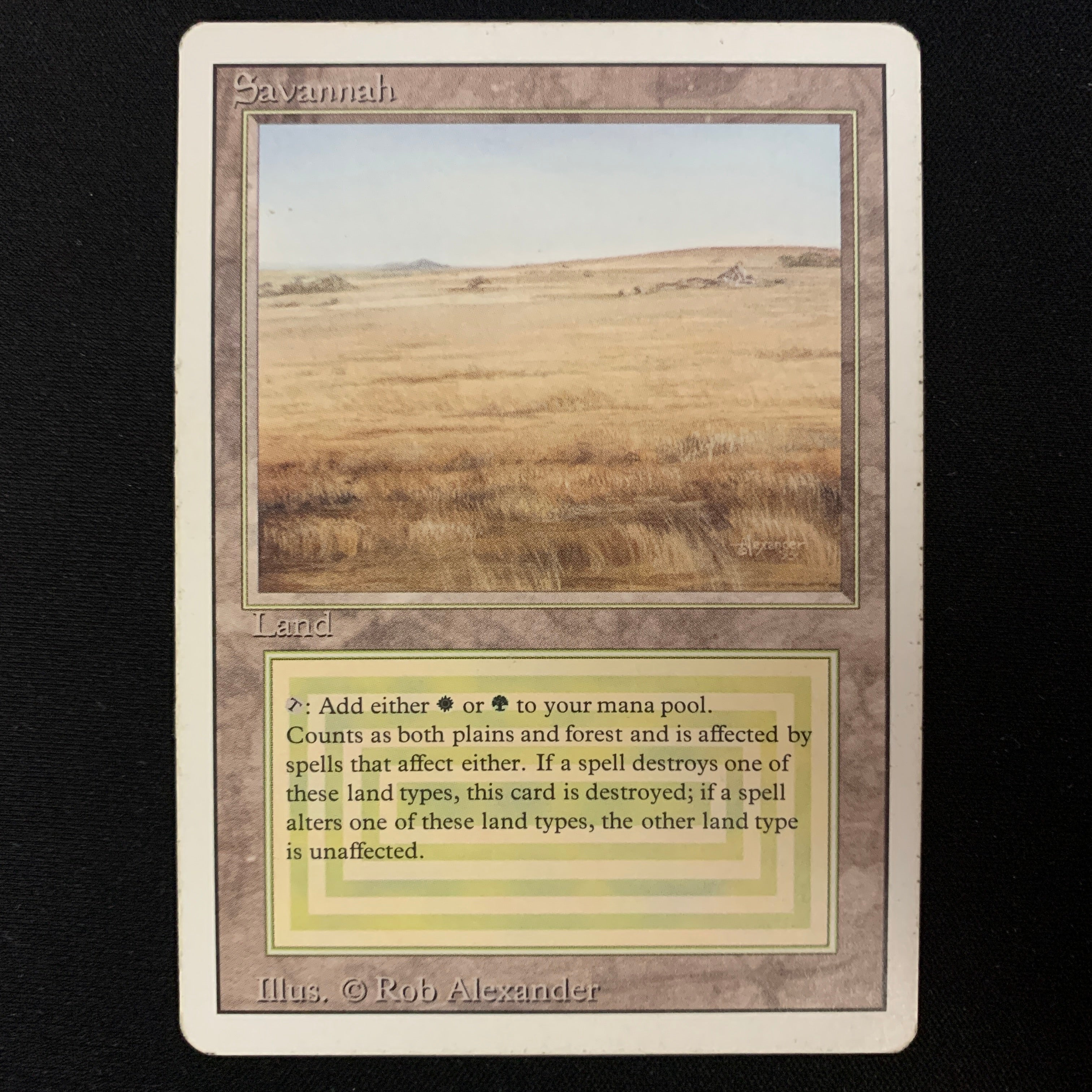 MTG Singles - Savannah - Revised - PL - 24391