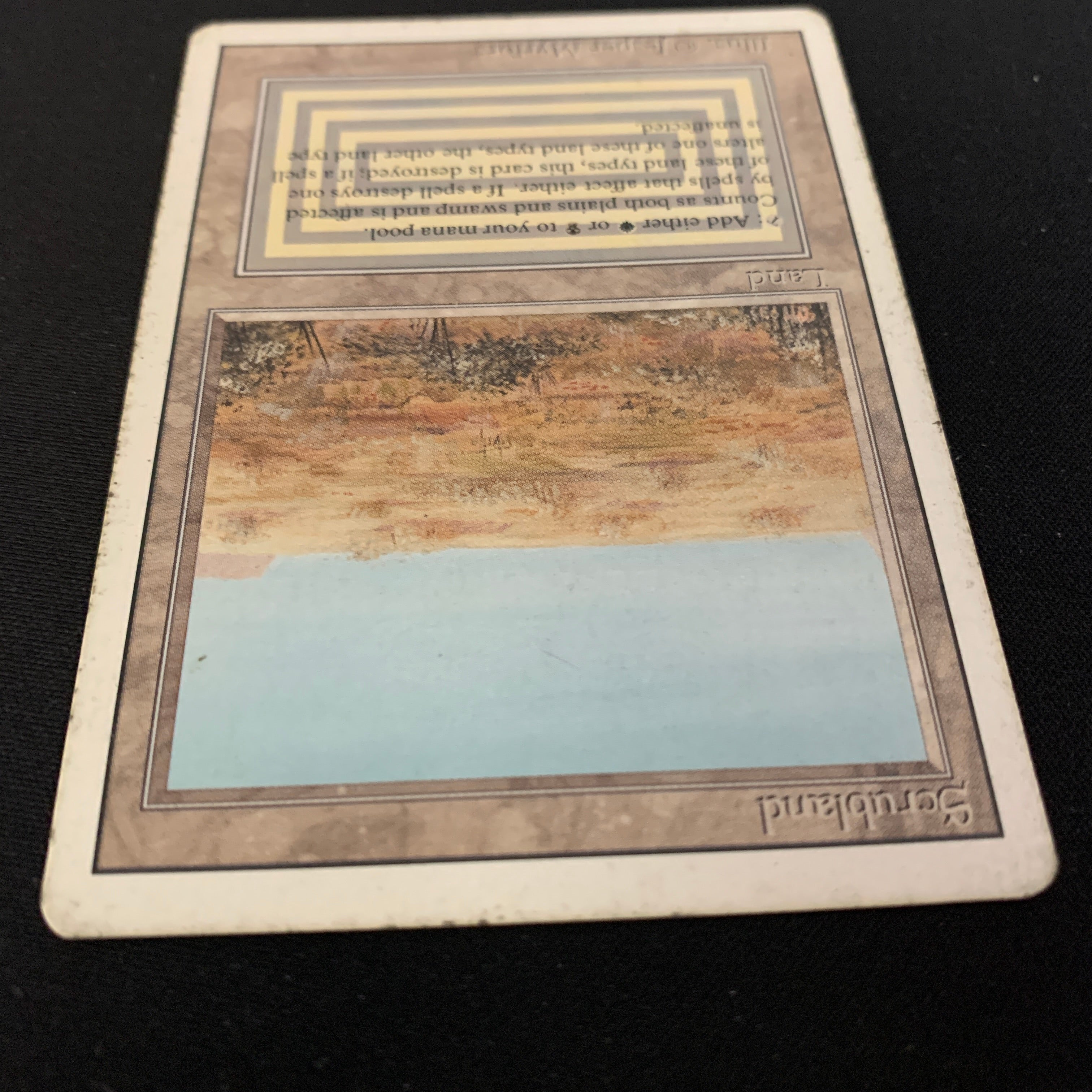 MTG Singles - Scrubland - Revised - 