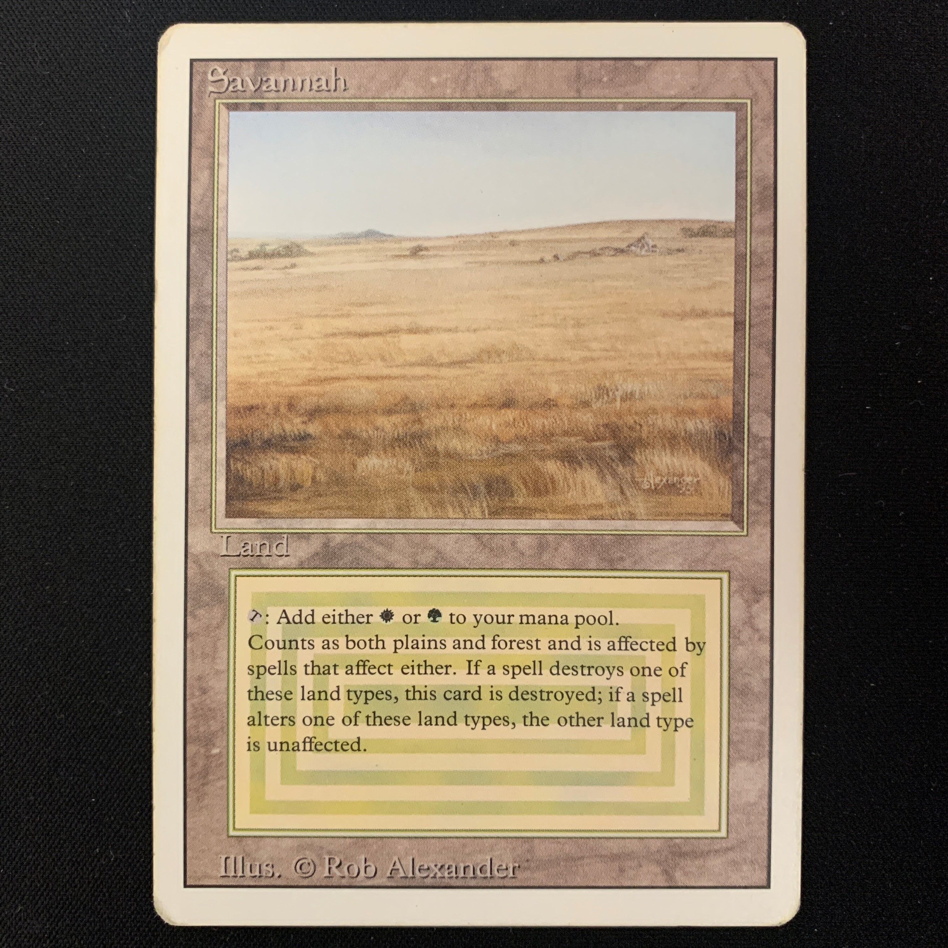 MTG Singles - Savannah - Revised - PL - 24469