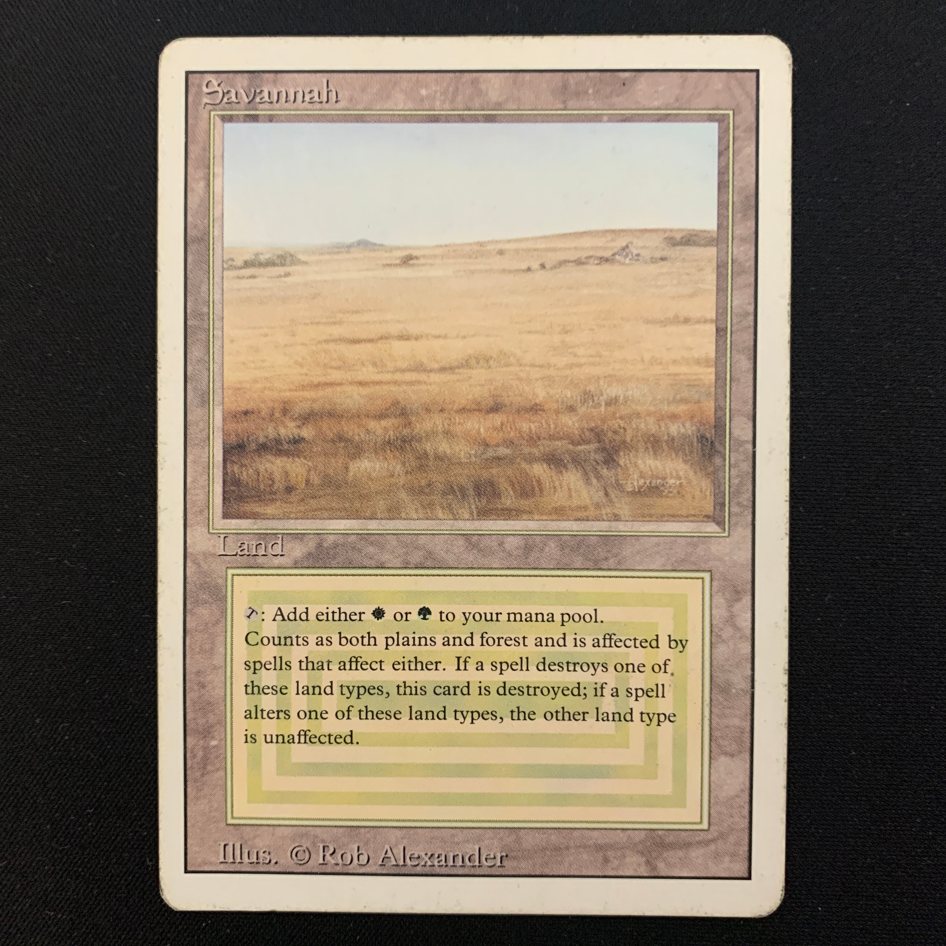 MTG Singles - Savannah - Revised - PL - 24471