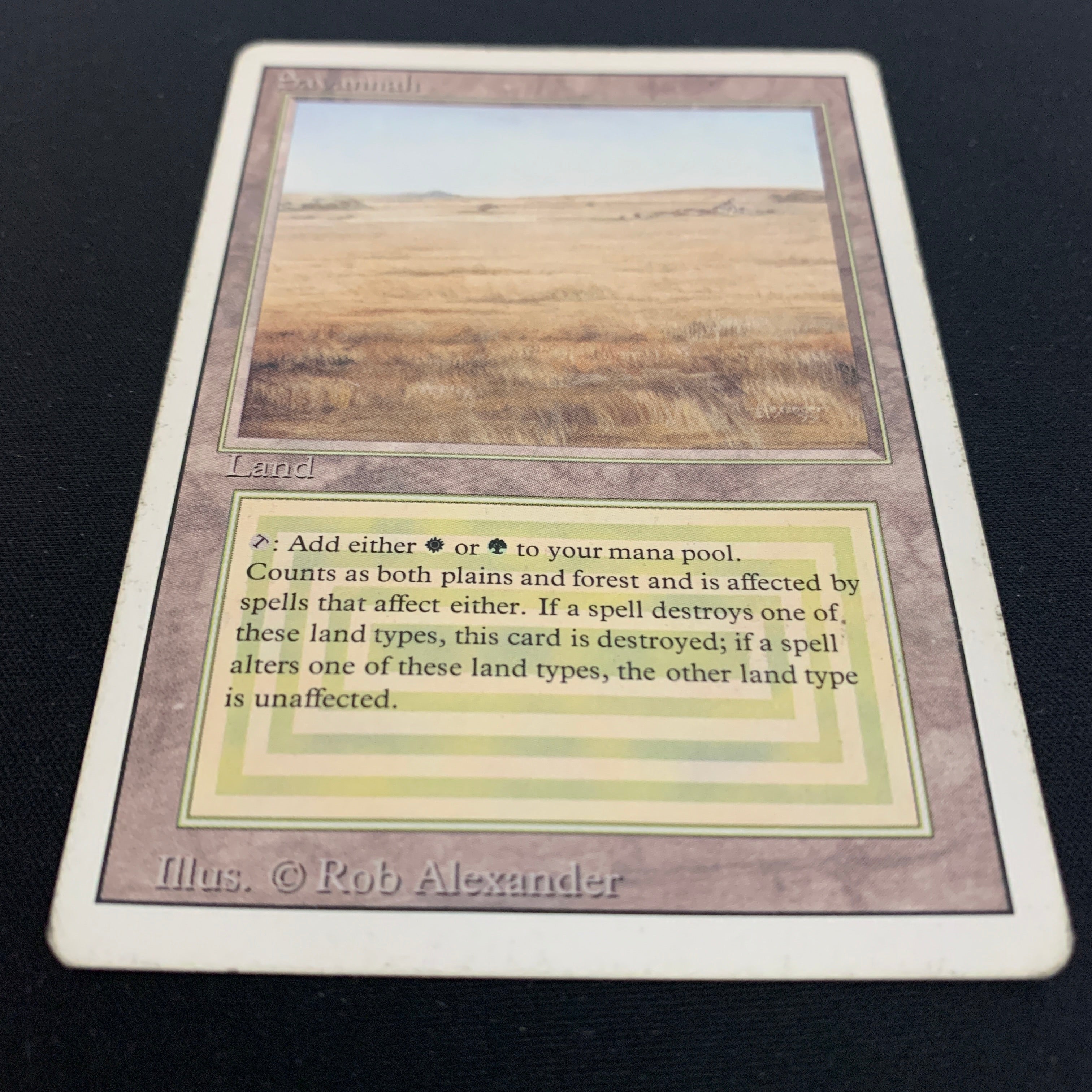 MTG Singles - Savannah - Revised - 