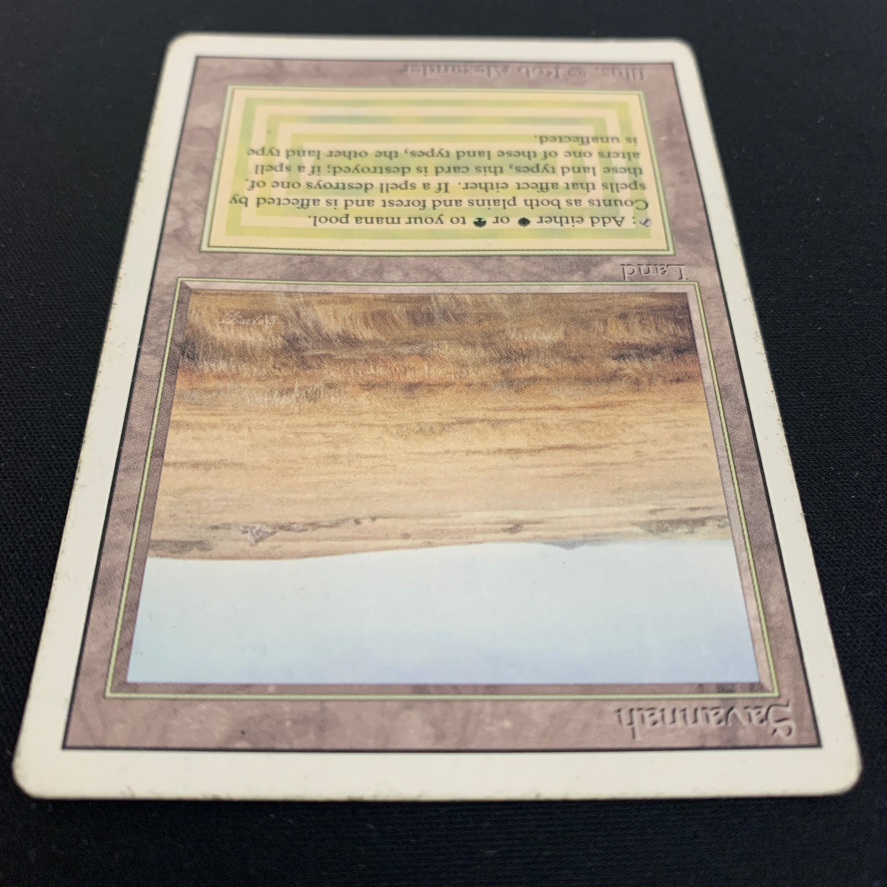 MTG Singles - Savannah - Revised - 