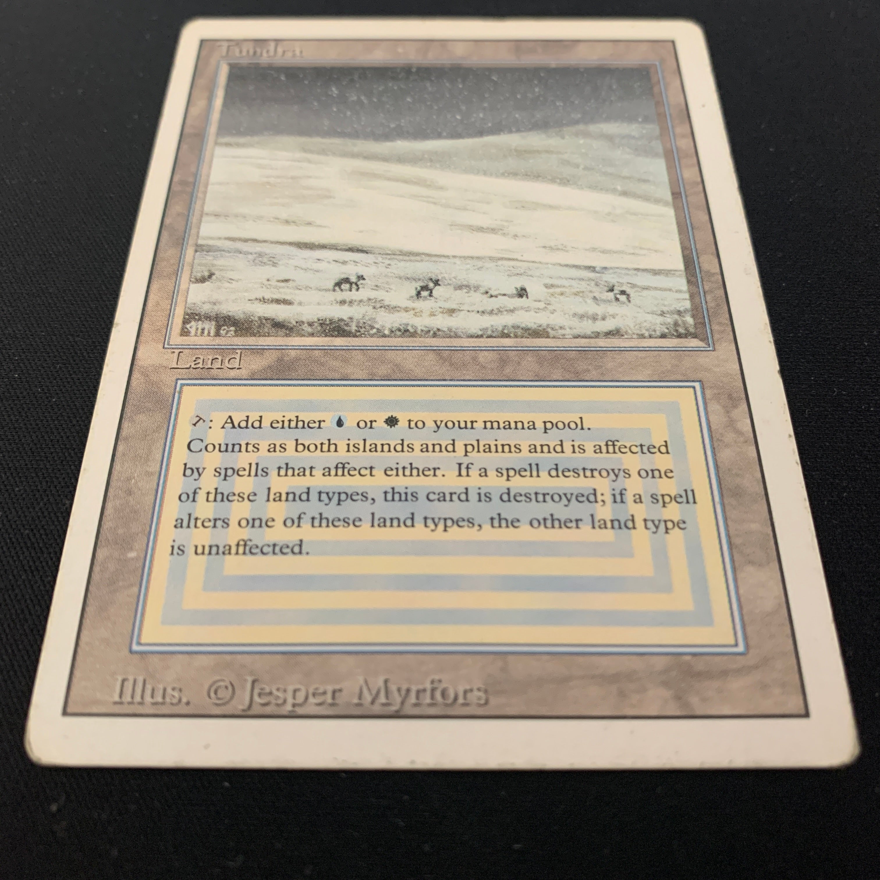 MTG Singles - Tundra - Revised - 