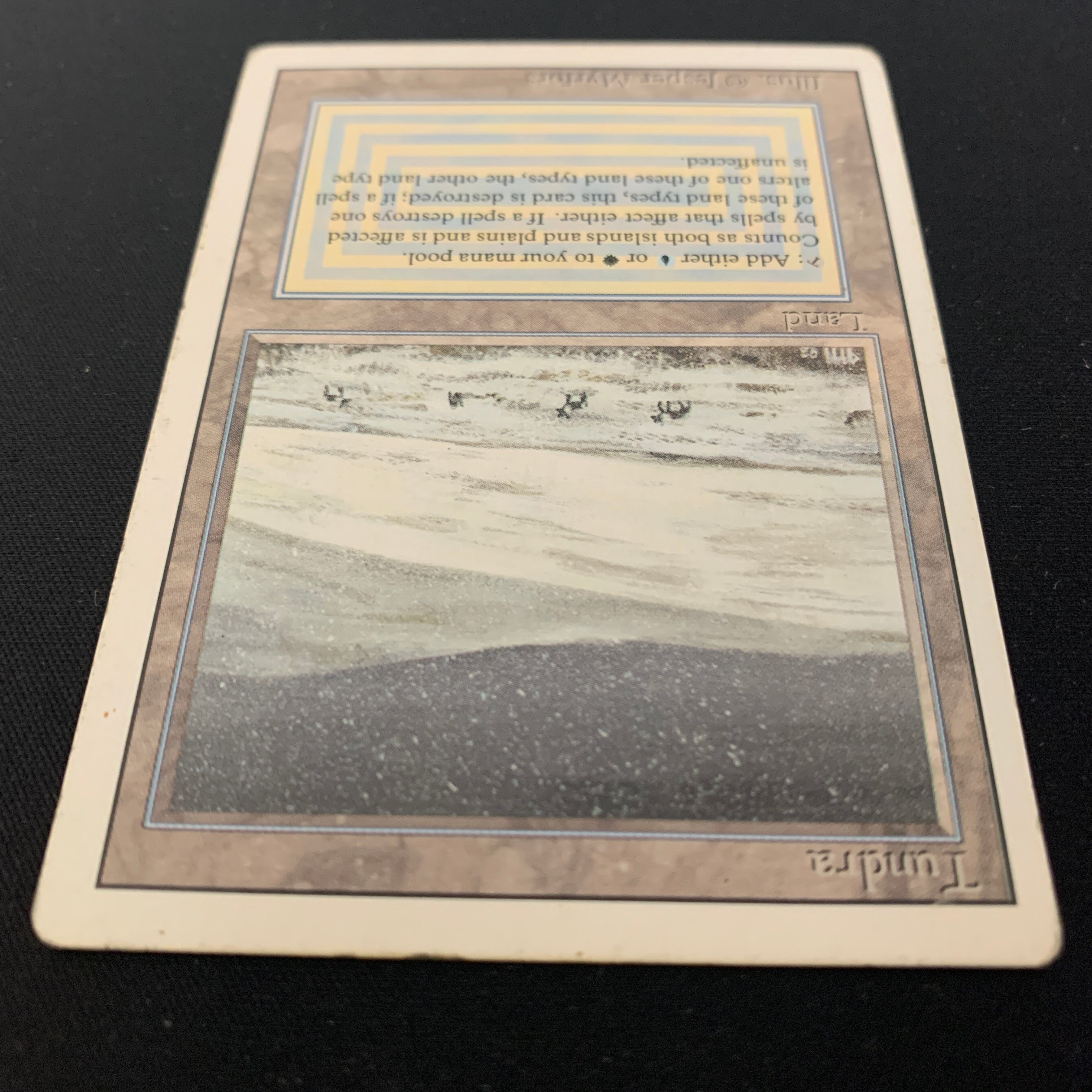 MTG Singles - Tundra - Revised - 