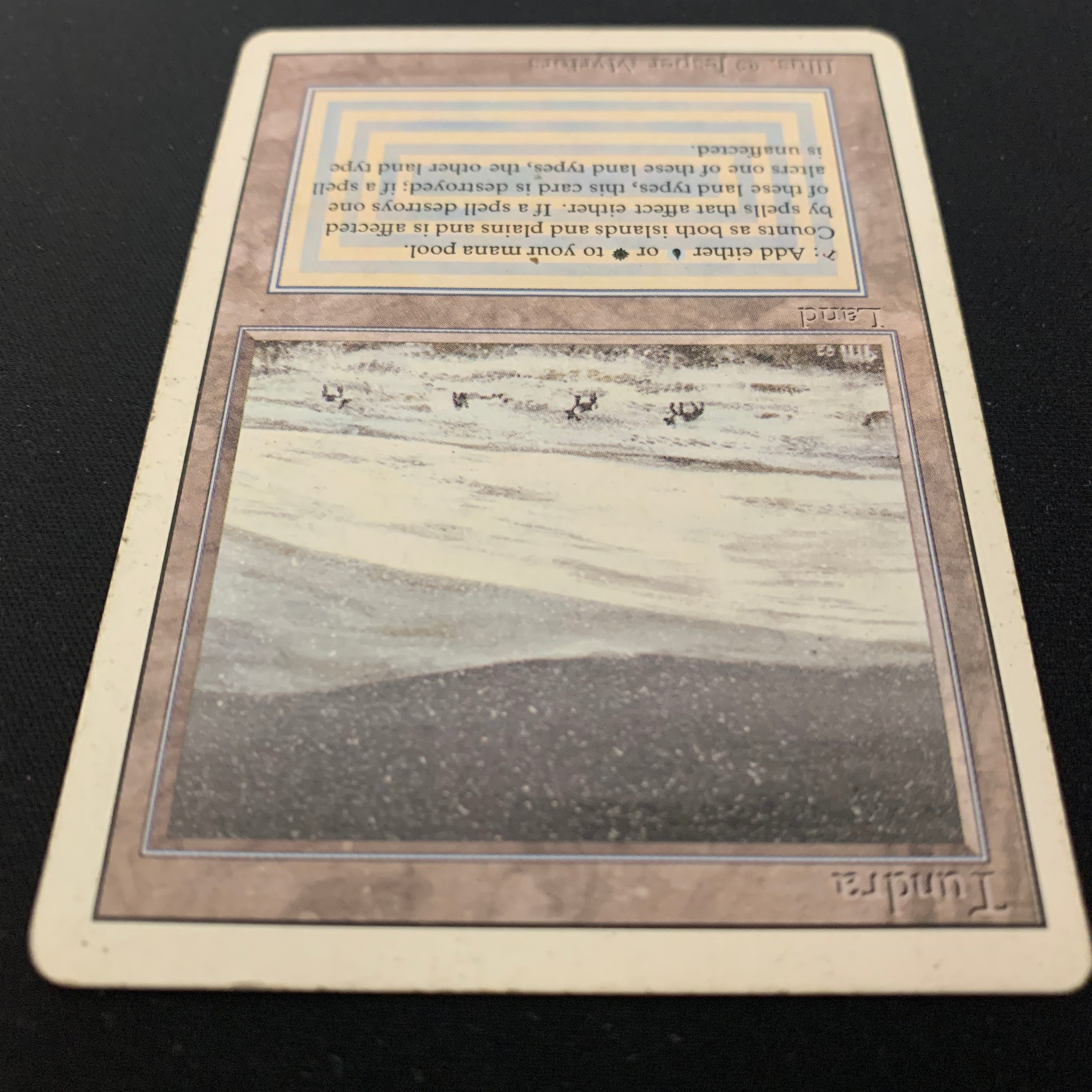 MTG Singles - Tundra - Revised - 