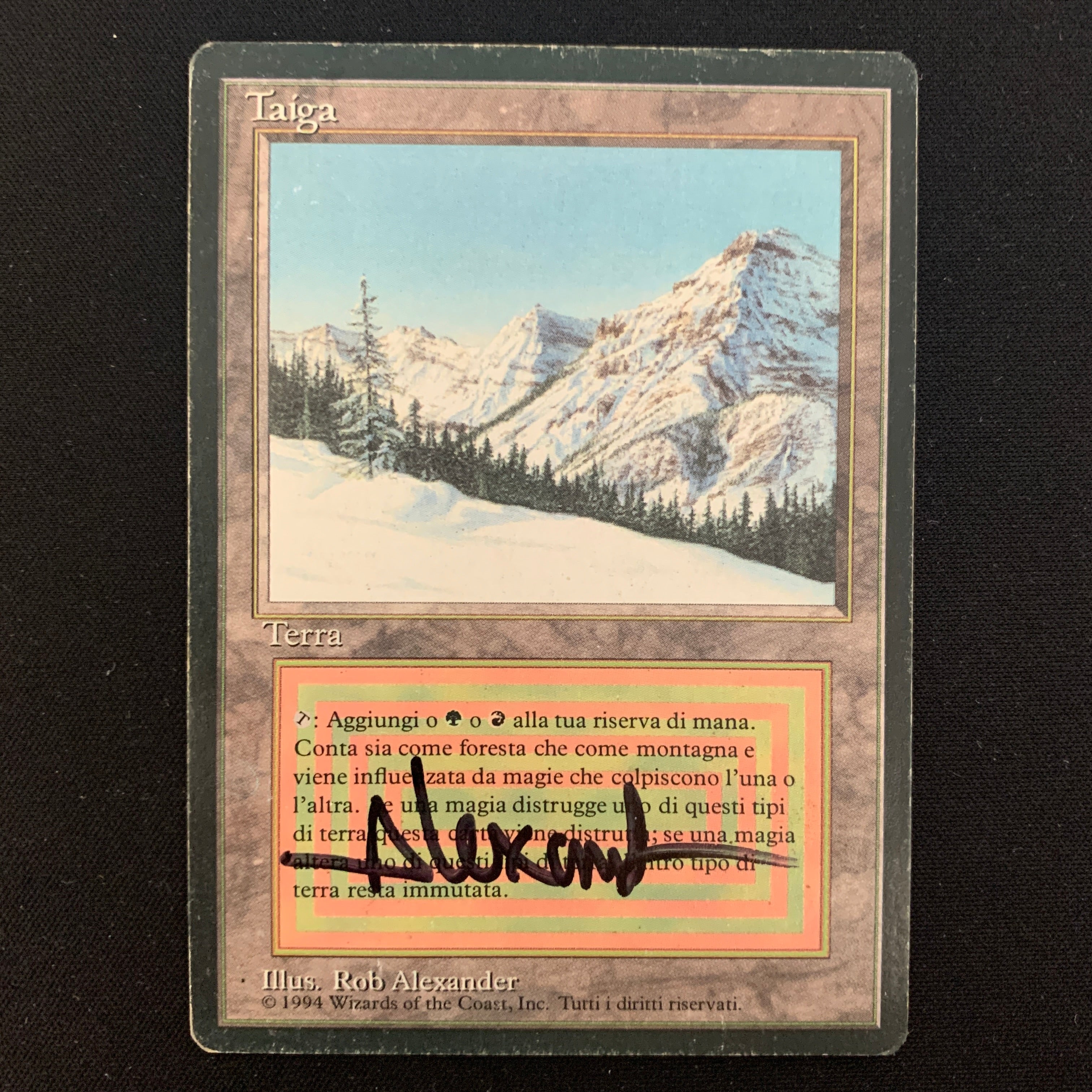 Taiga - Foreign Black Bordered