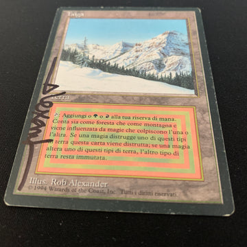 taiga mtg card #317 Holo from Vintage Masters (VMA) Proxy The Gathering (MTG) card images and symbols Wizards of the Coast Taiga Revised Edition (3ED)