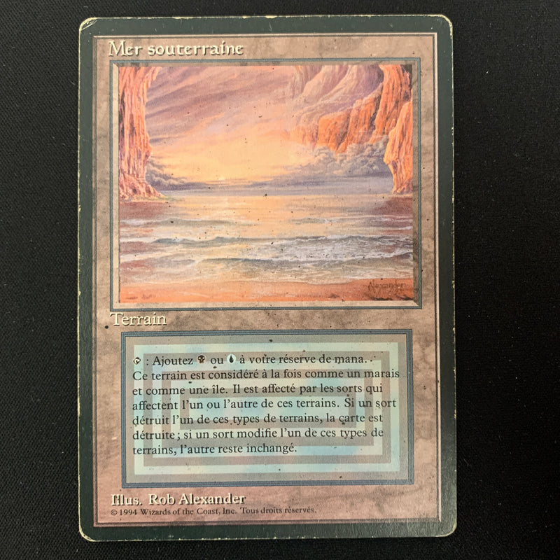 MTG Singles - Underground Sea - Foreign Black Bordered - French - PL - 24501