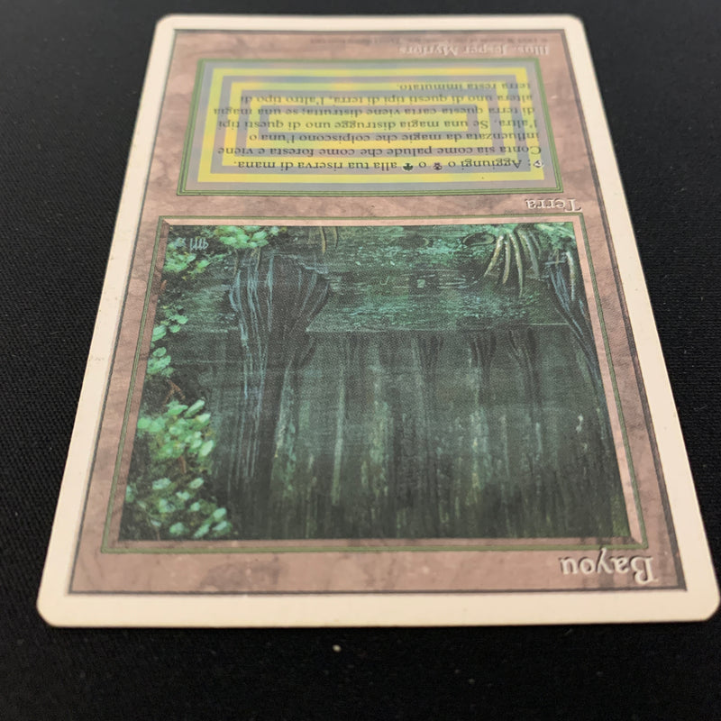 MTG Singles - Bayou - Foreign White Bordered - Italian - 