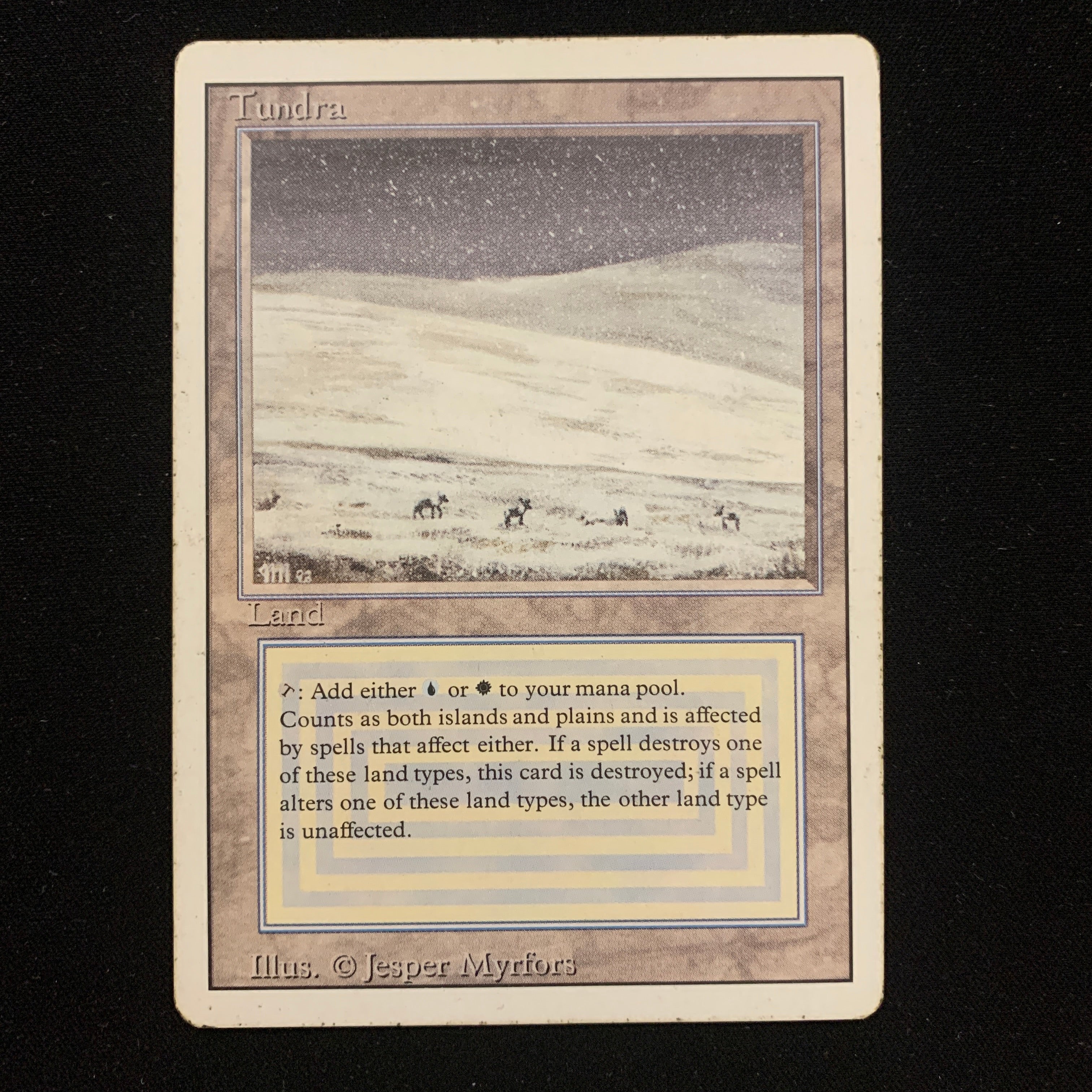 MTG Singles - Tundra - Revised - PL - 24722