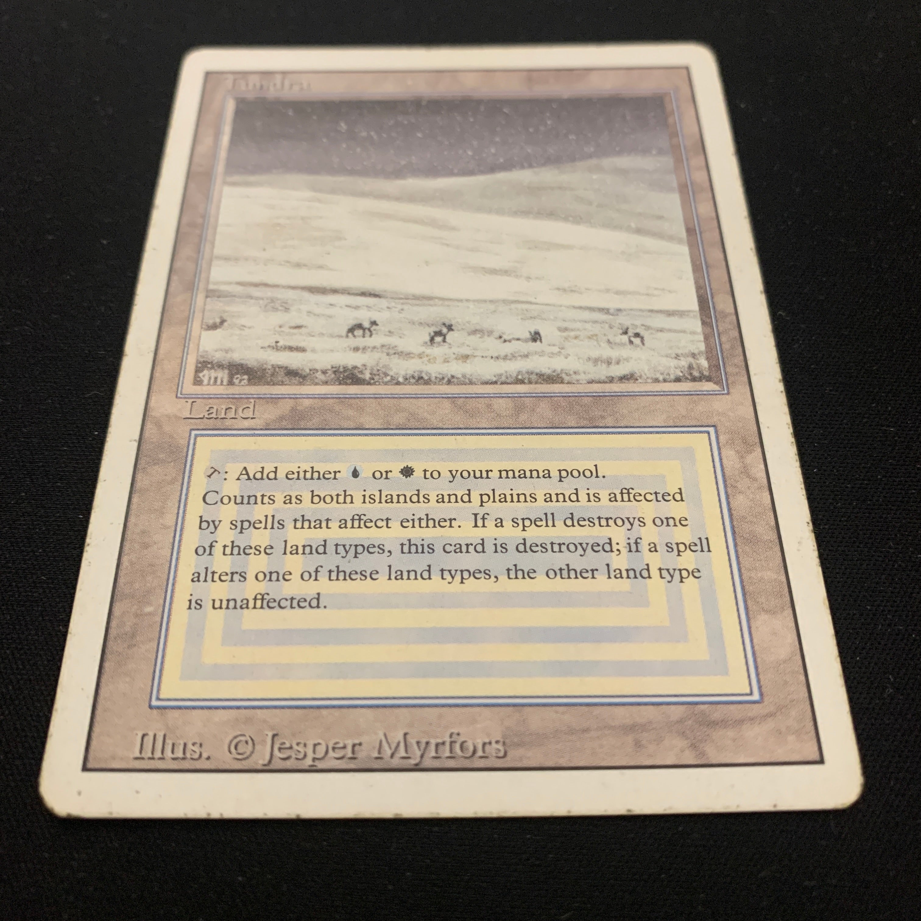 MTG Singles - Tundra - Revised - 